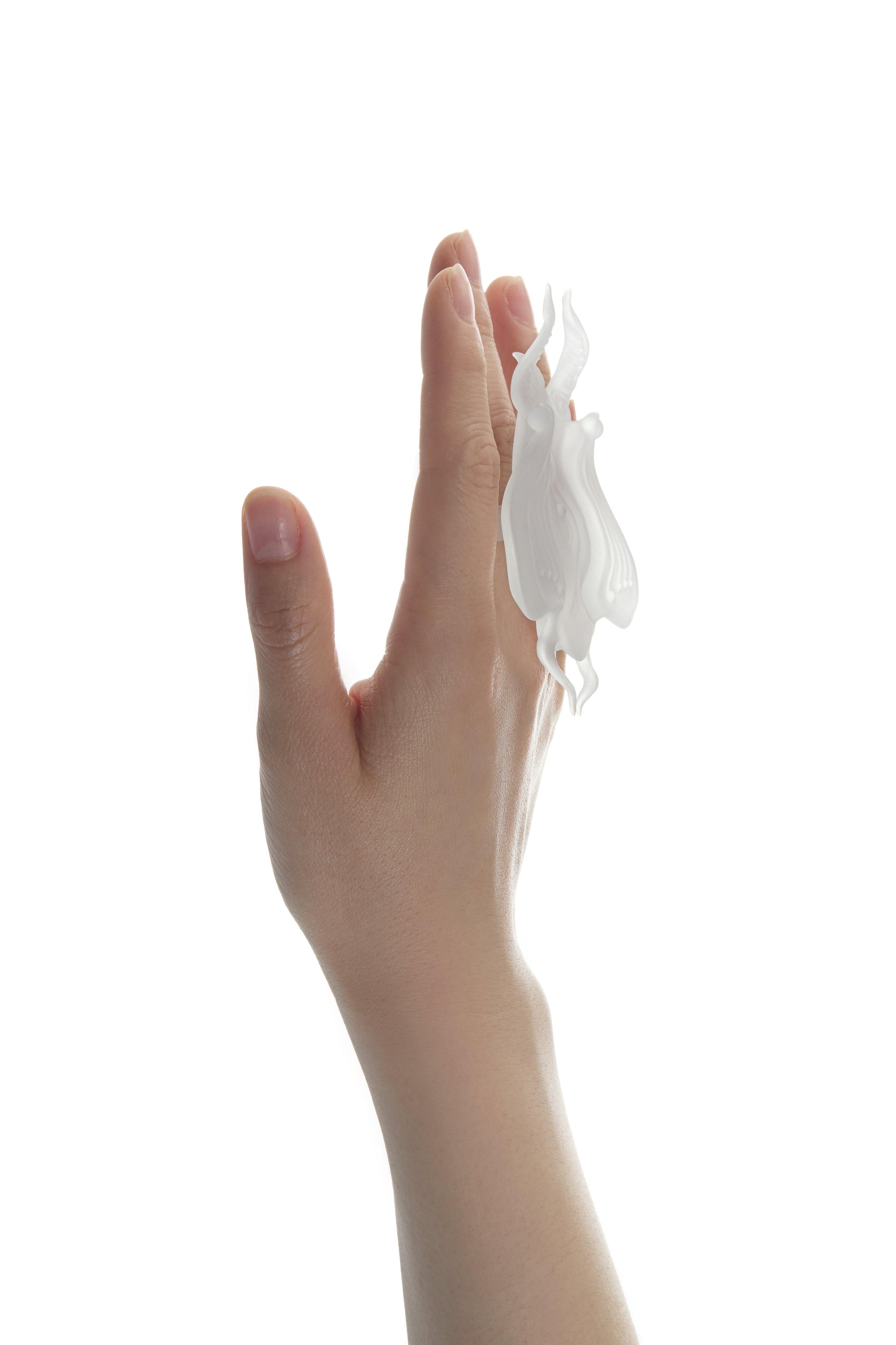 The Spine of the Spirit Ring