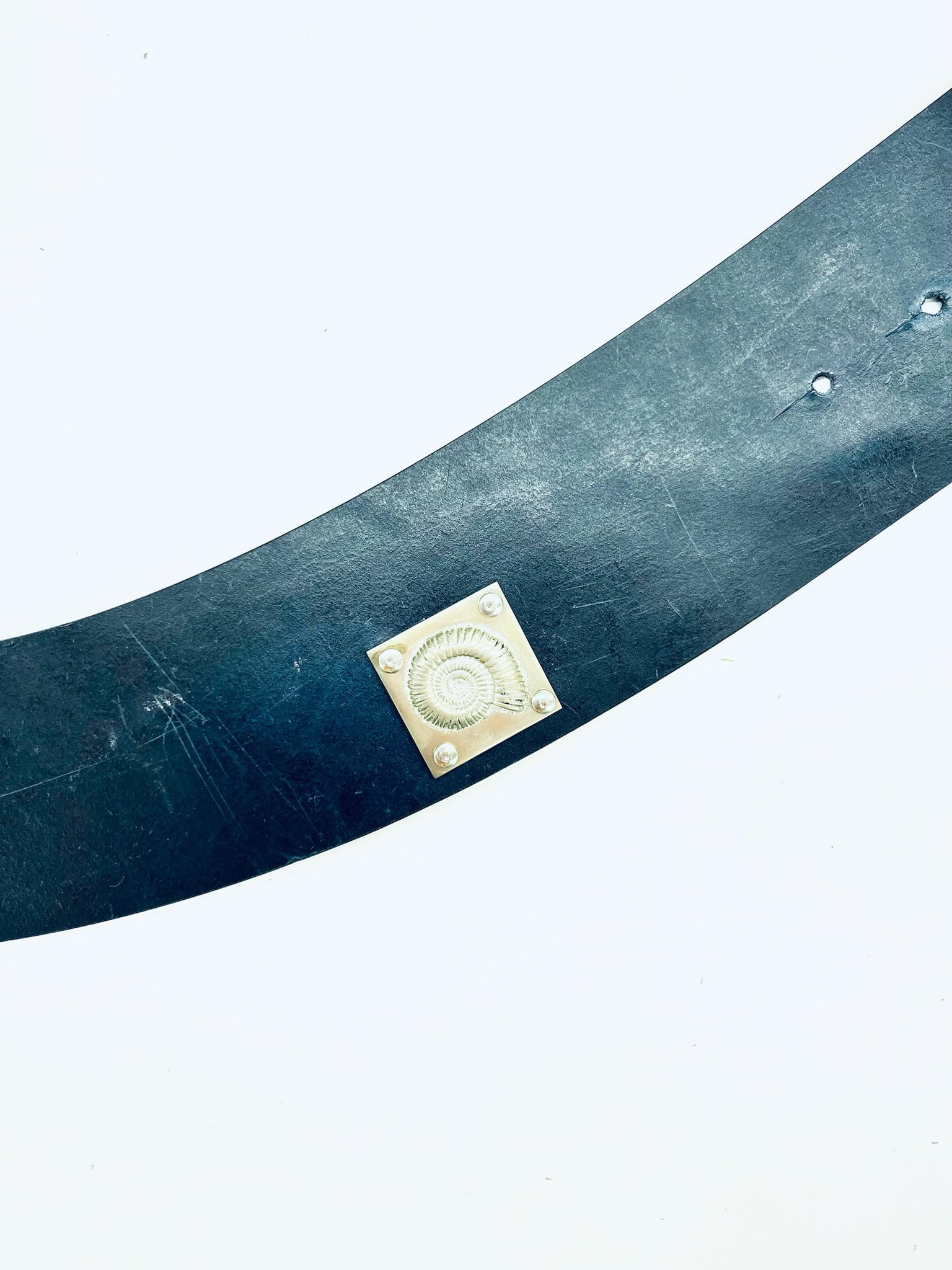 Ammonit Belt