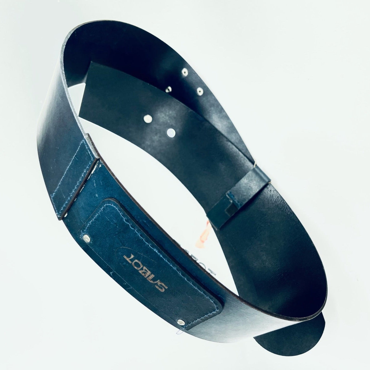 암모나이트 벨트