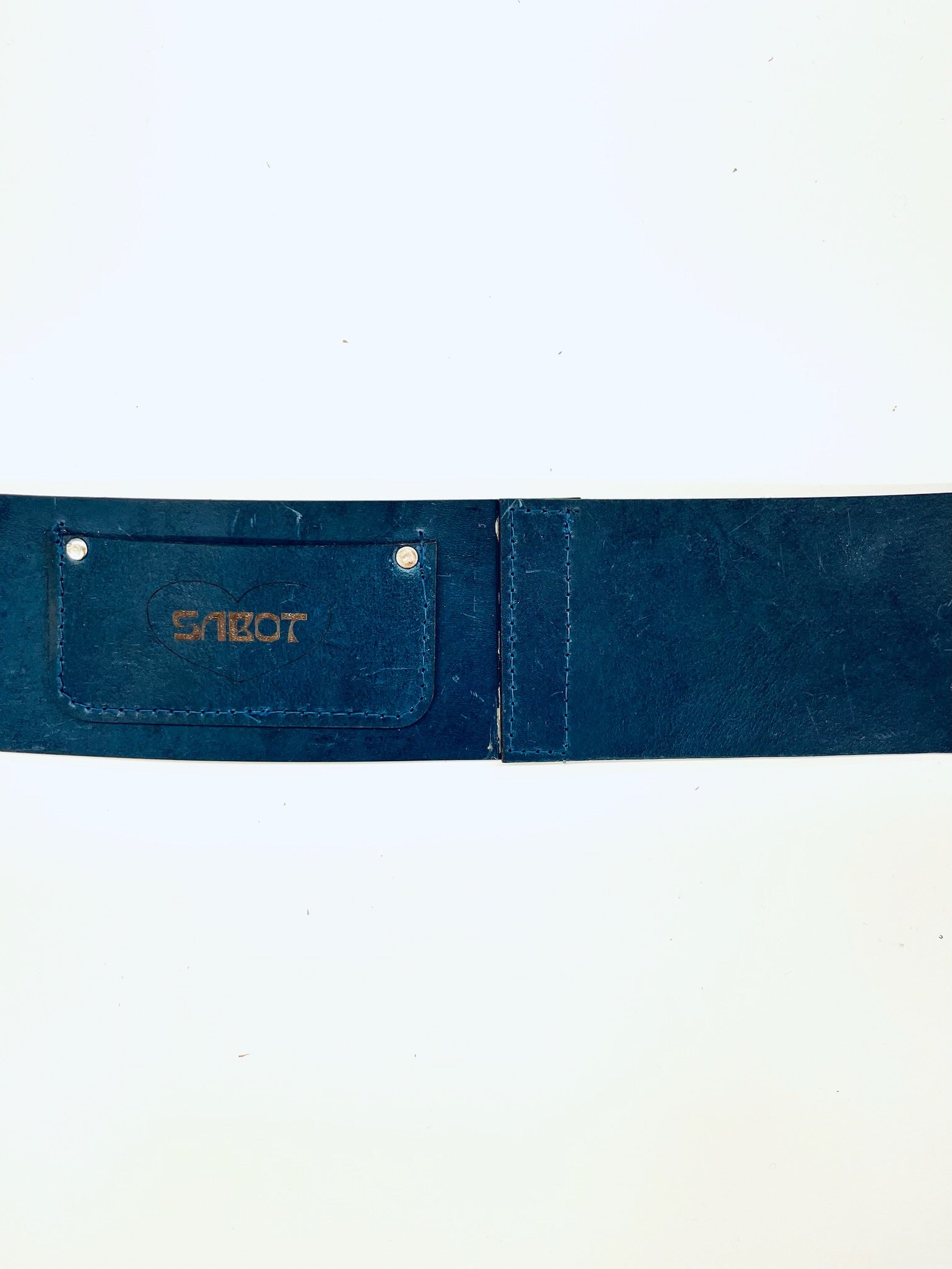 암모나이트 벨트