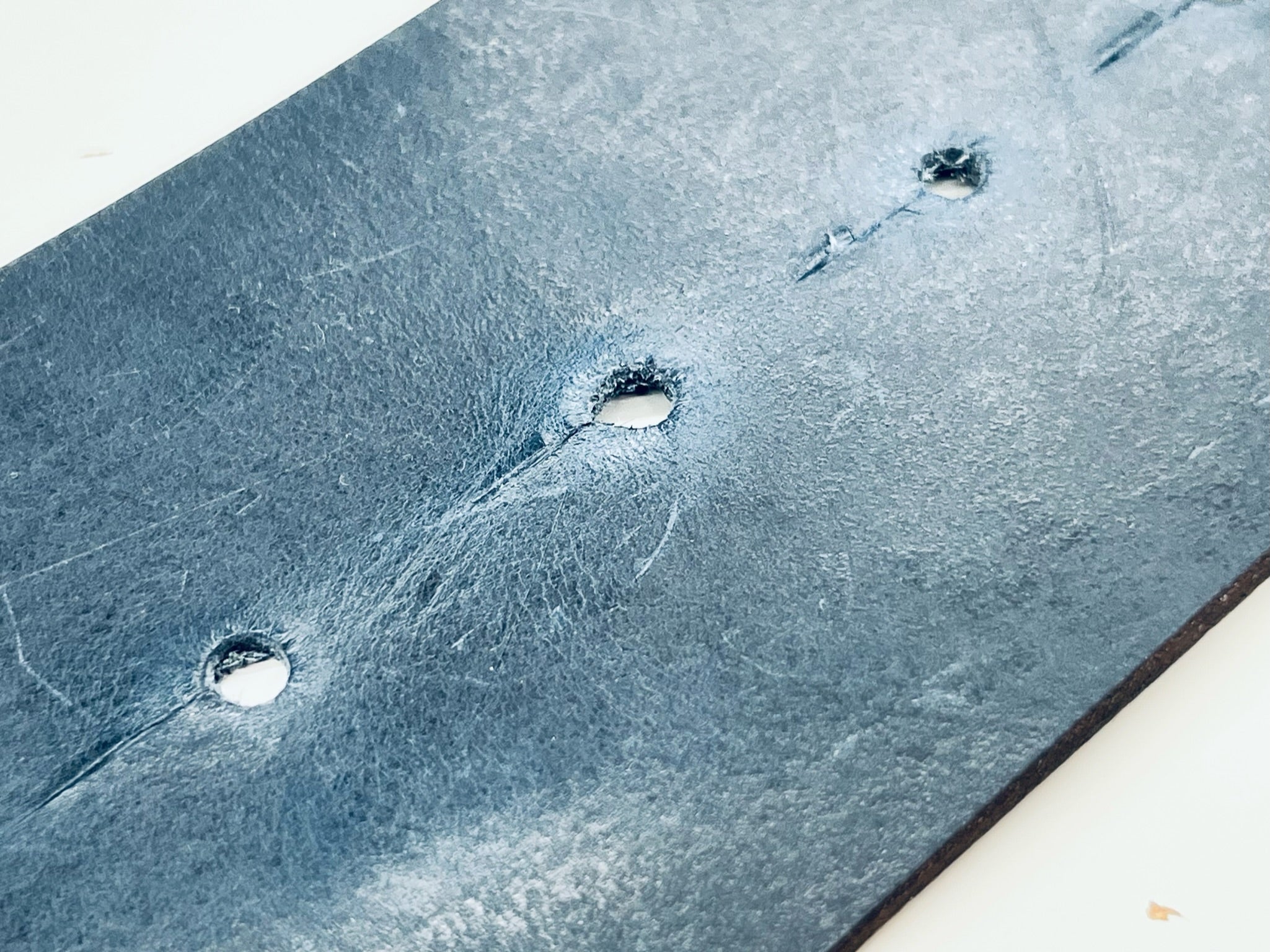 암모나이트 벨트