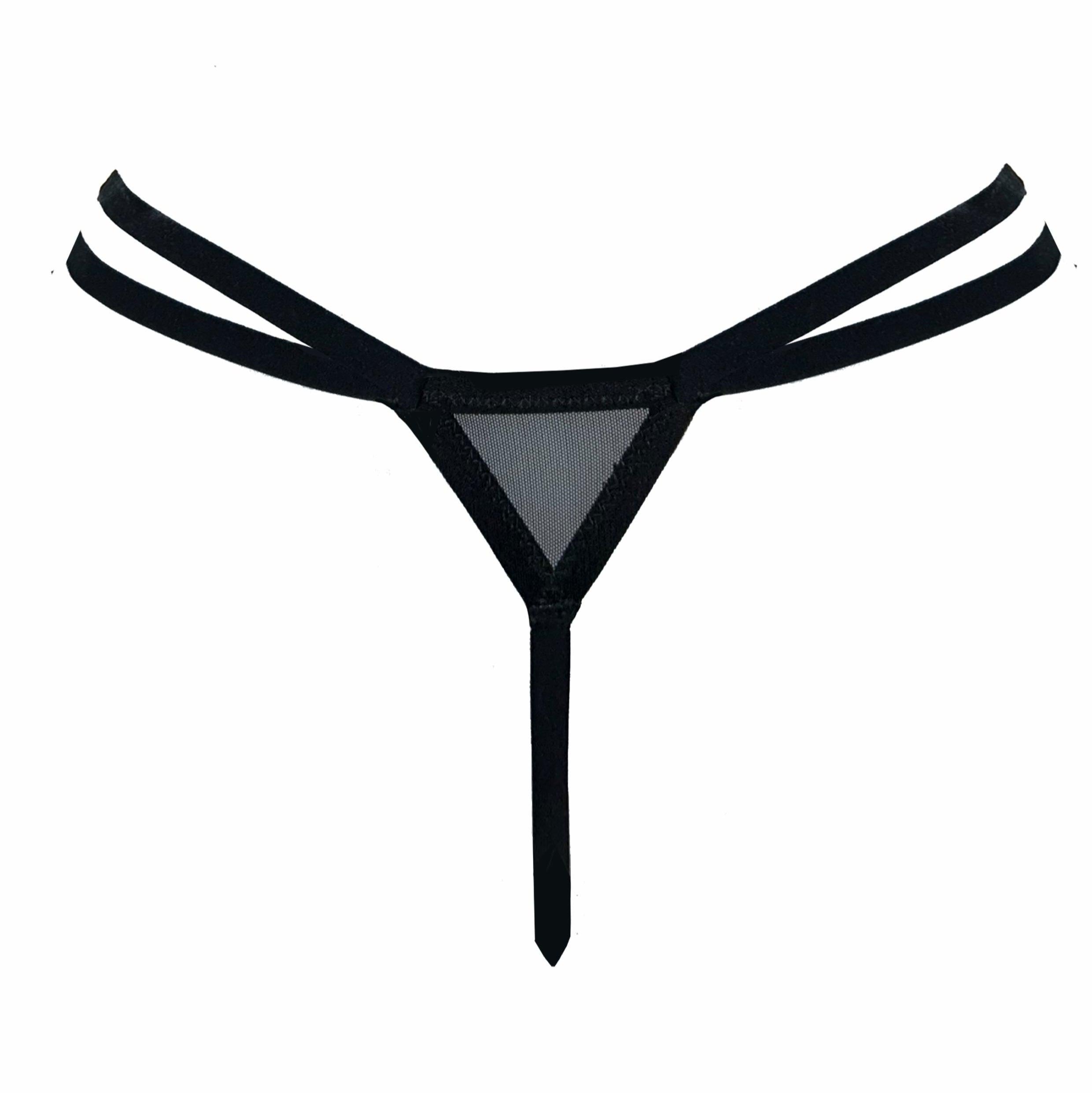 앤젤릭 솔리드 통