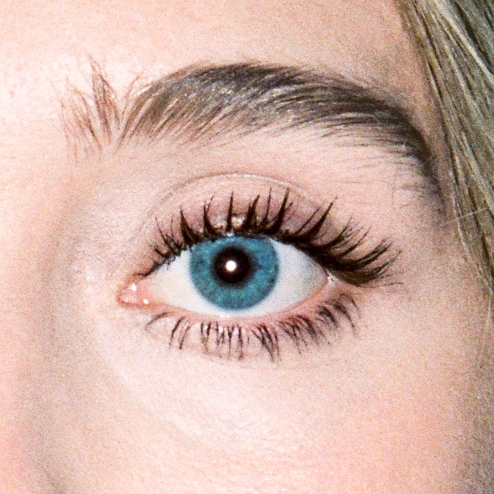 타란툴라 마스카라