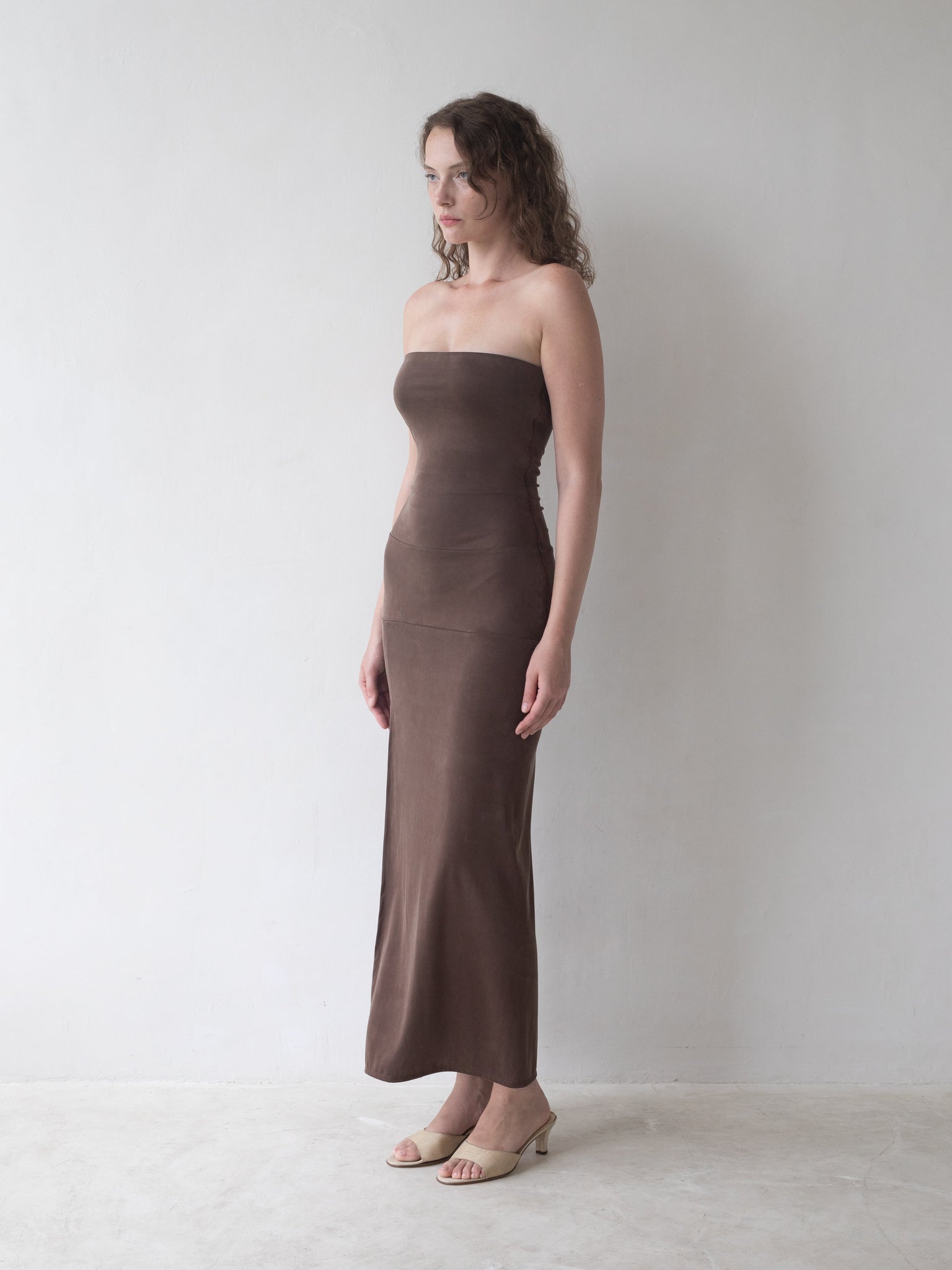 Sycamore Dress in Brown