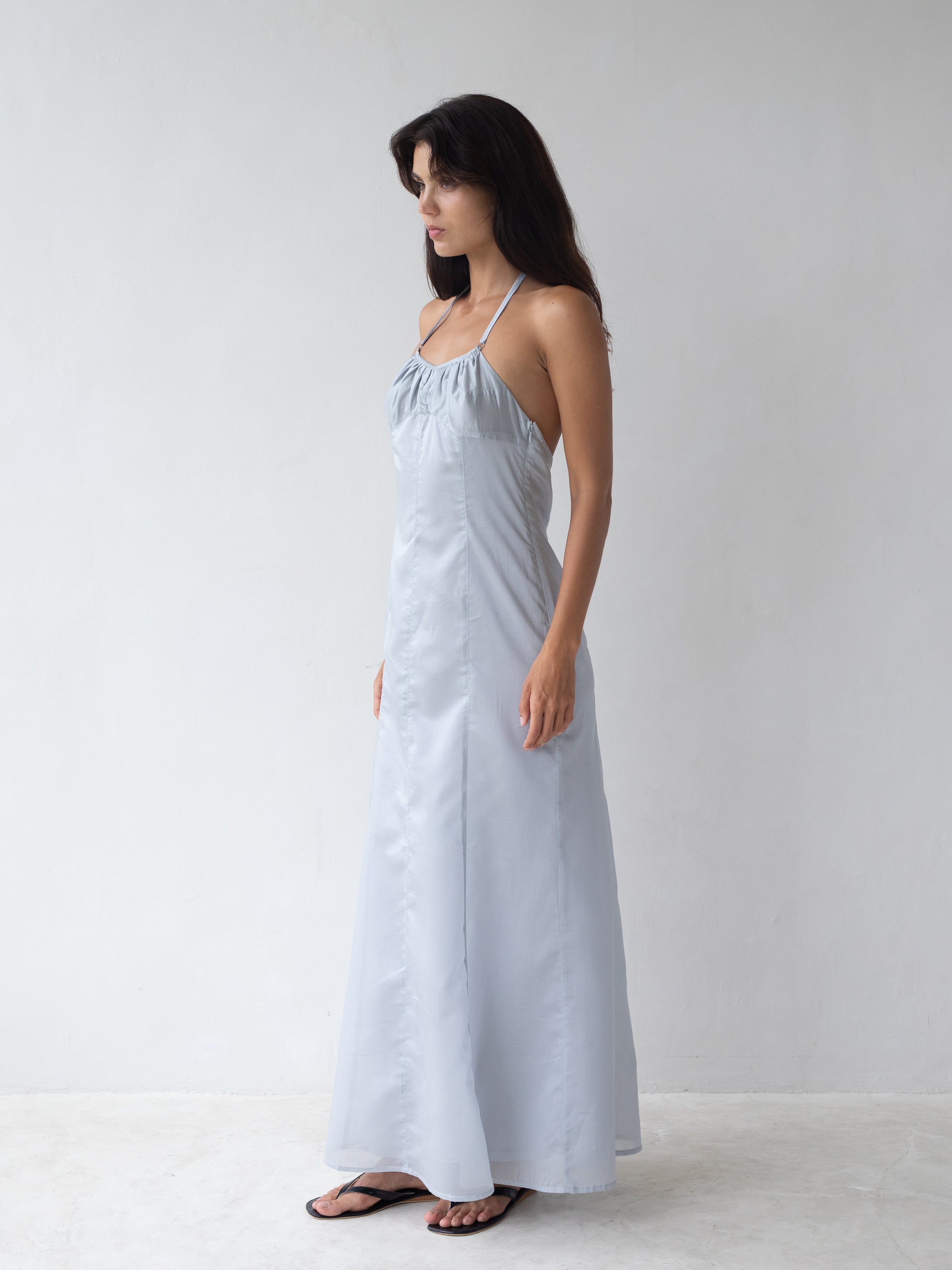 Flore Maxi Dress in Mist