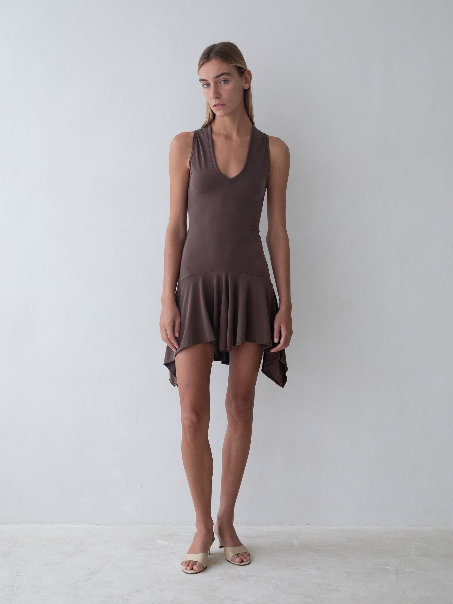 Park Dress in Brown
