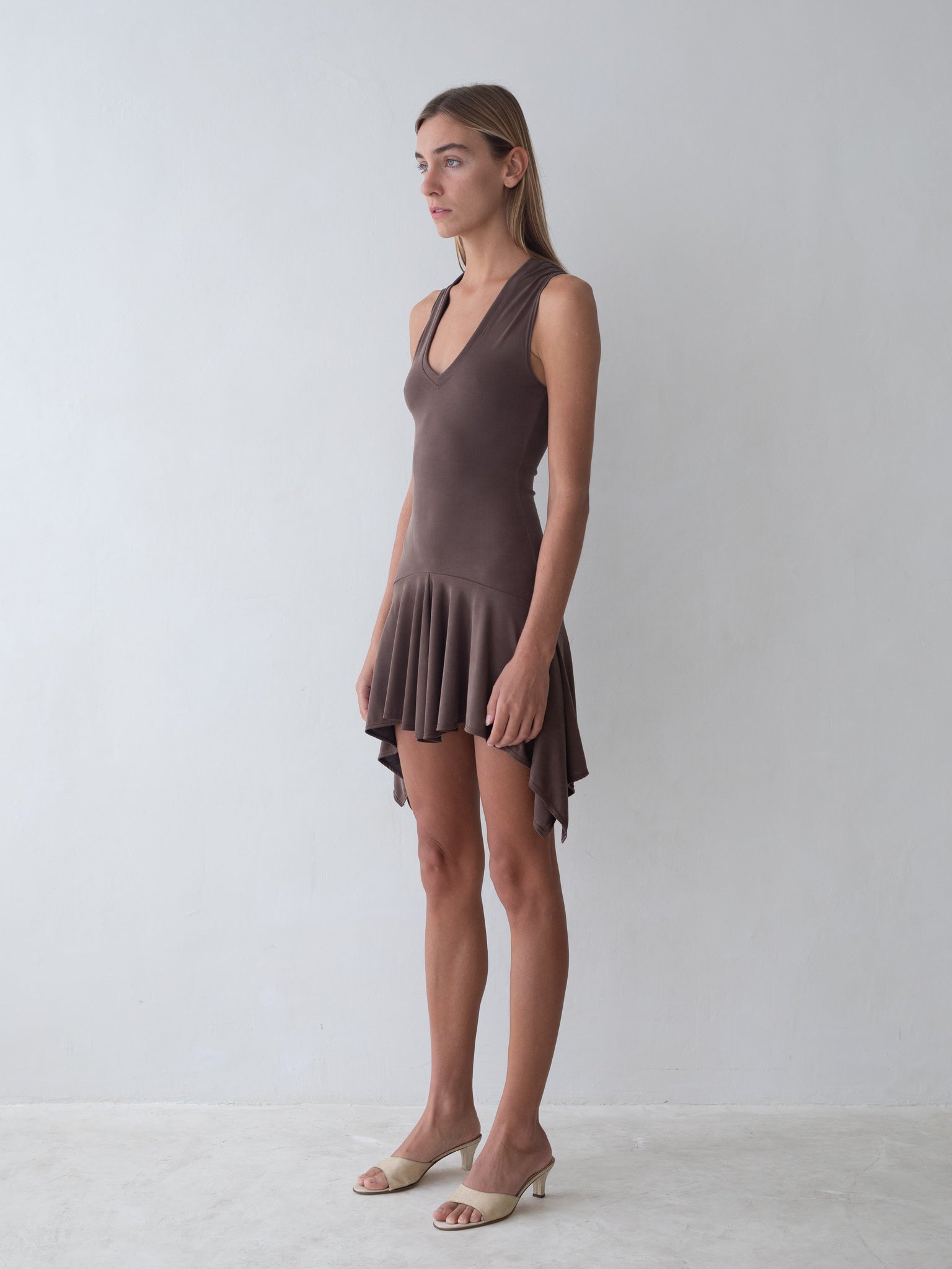 Park Dress in Brown