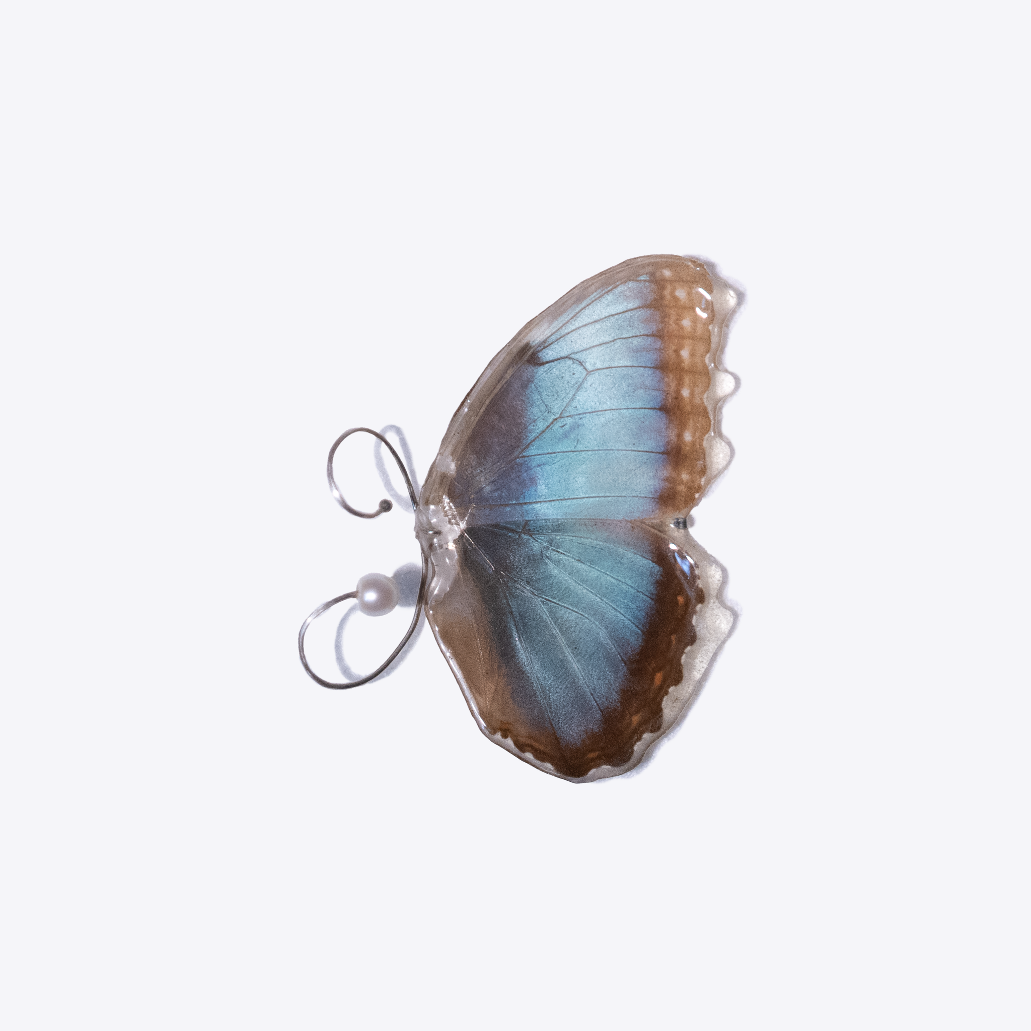 Blue Morpho Ear Cuff