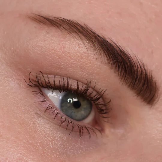 Spectra Lash