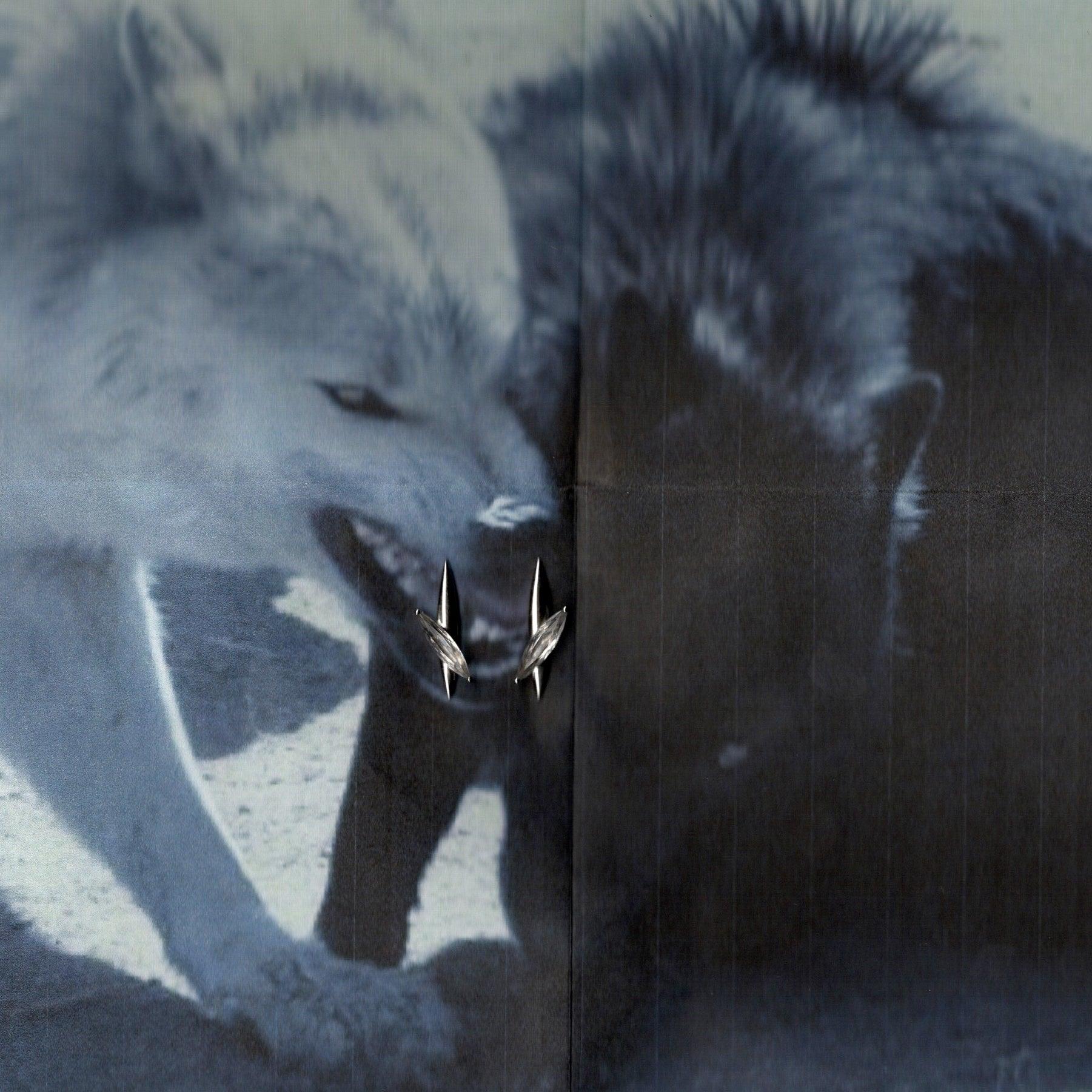 타브리스 귀걸이