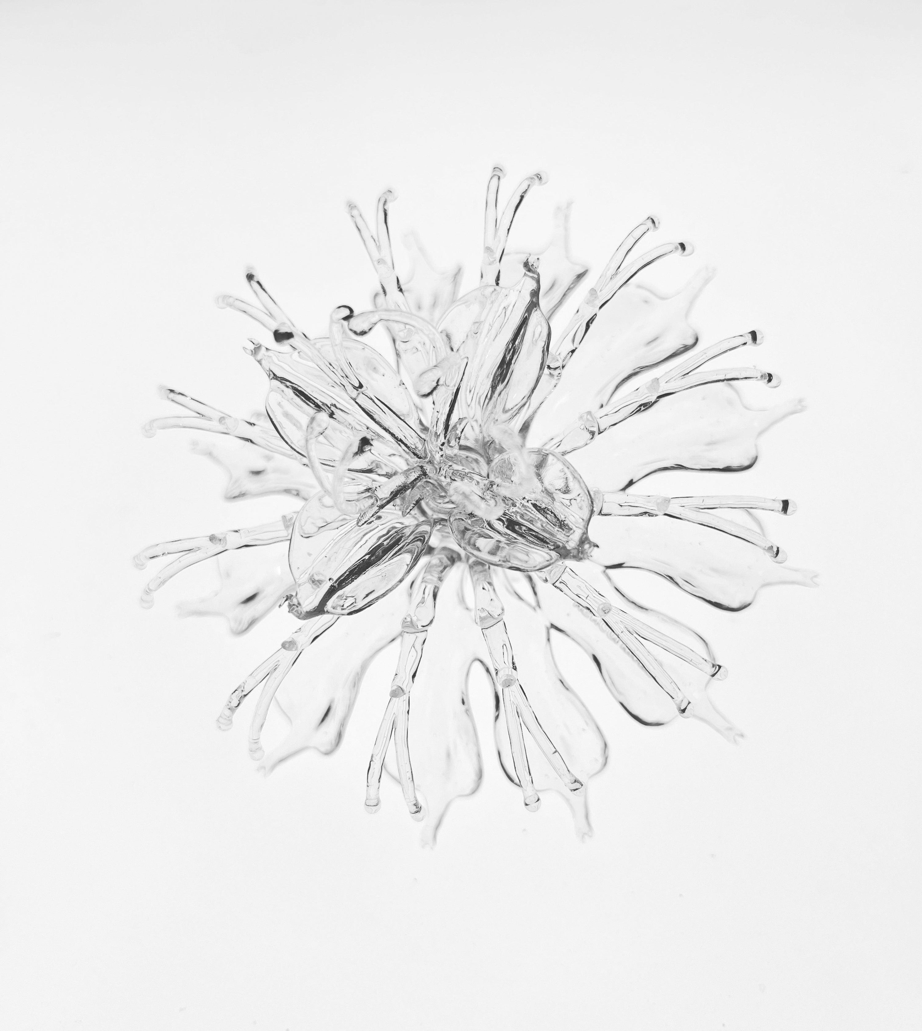 블루밍 모나르다 링