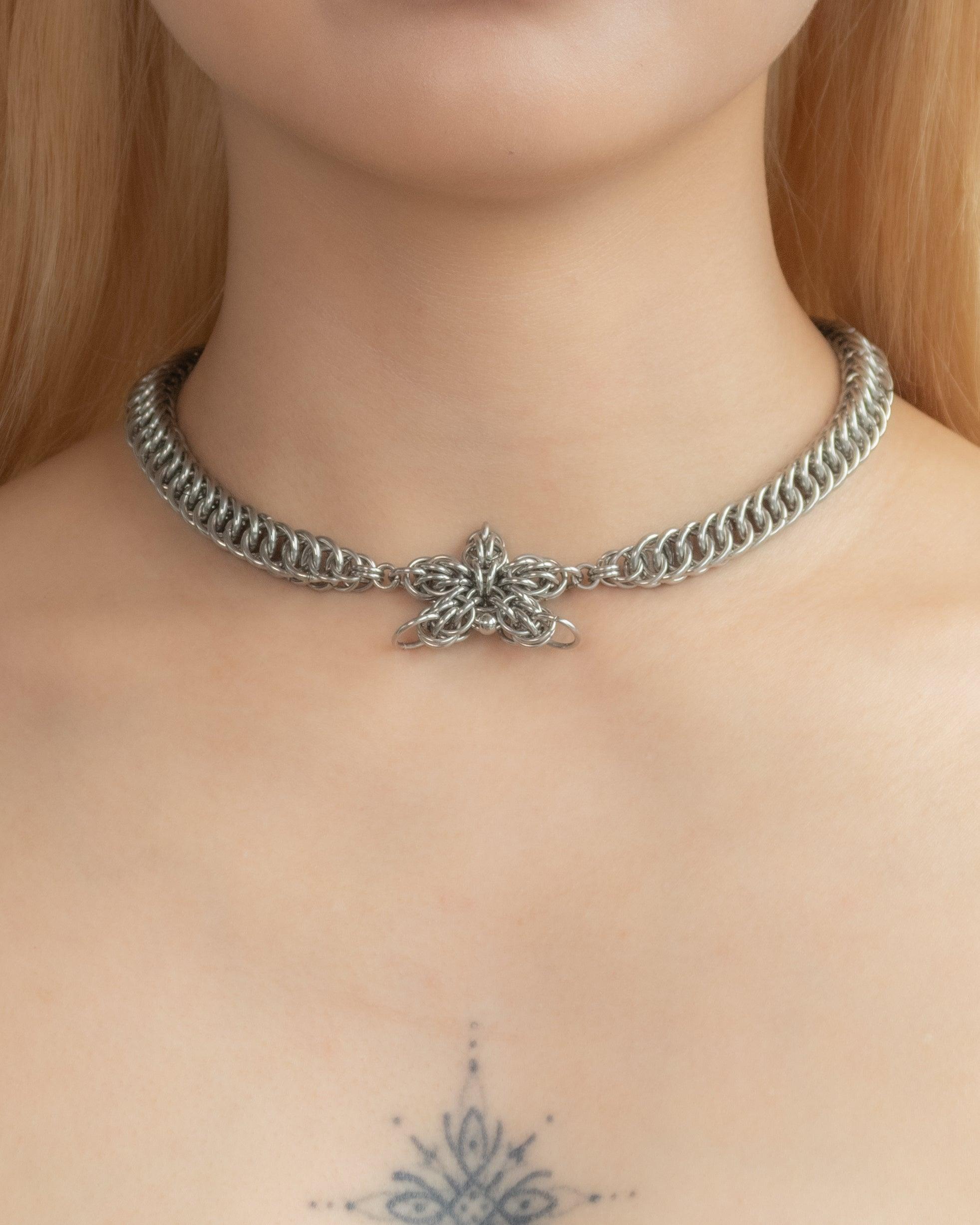 토로이드 오키드