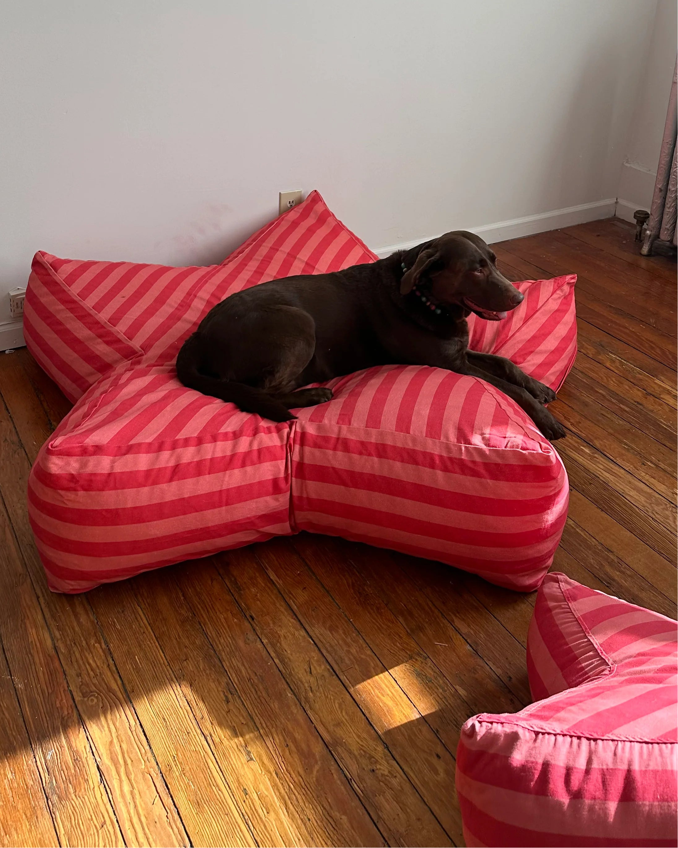 Bobo Bean Bag