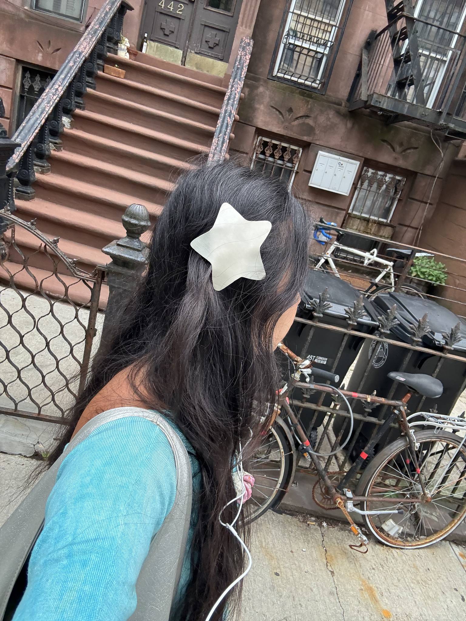 Big Star Hair Clip