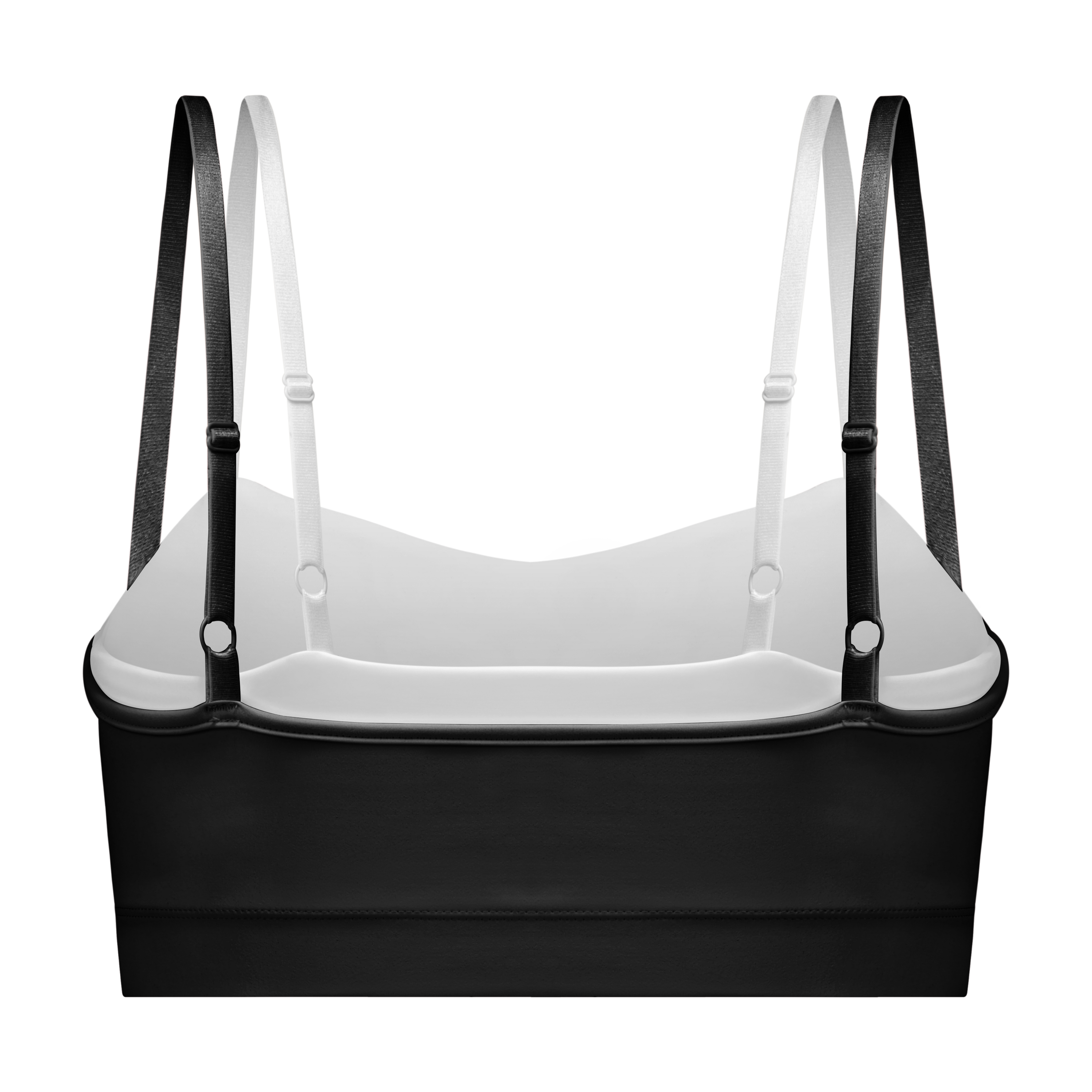 리코리스 슈가 스냅 브라