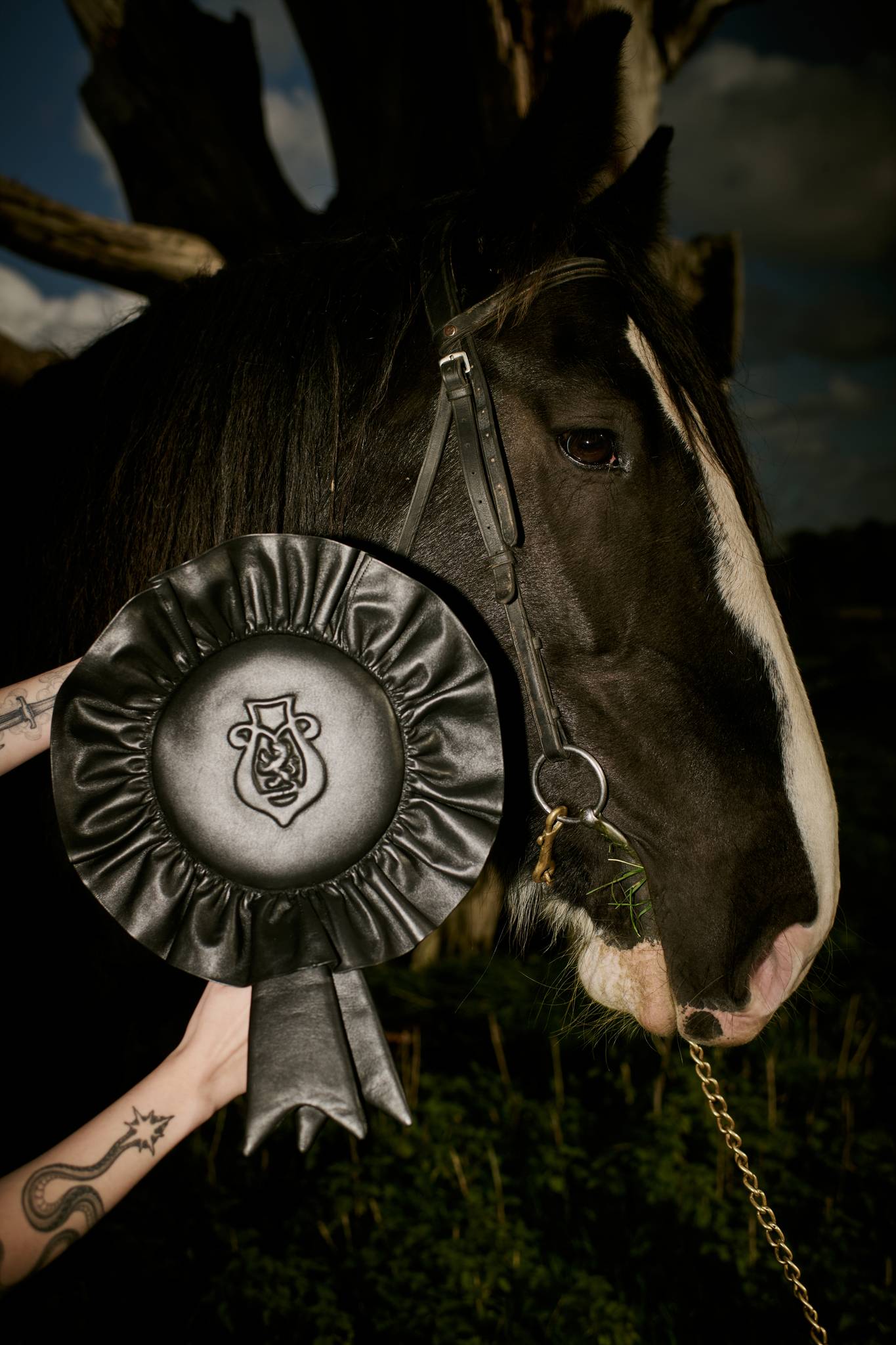 "Ride Your Luck" Rosette Bag in Lion