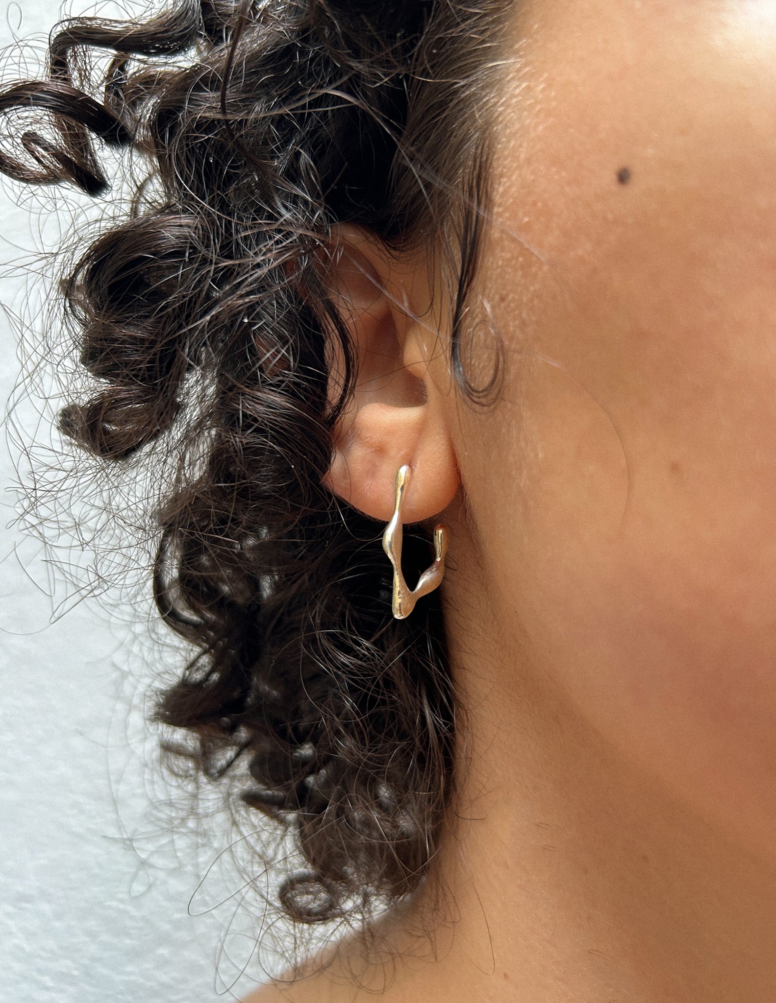 Twigs Earrings