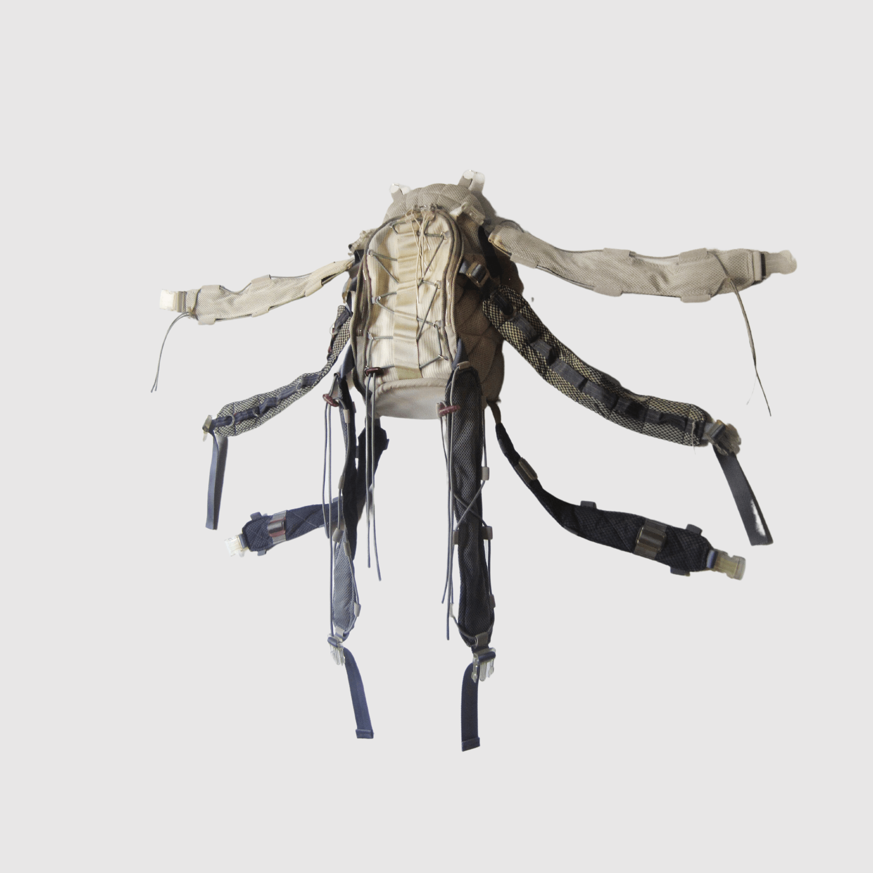 컨테이너 6: 대디 롱 레그 백