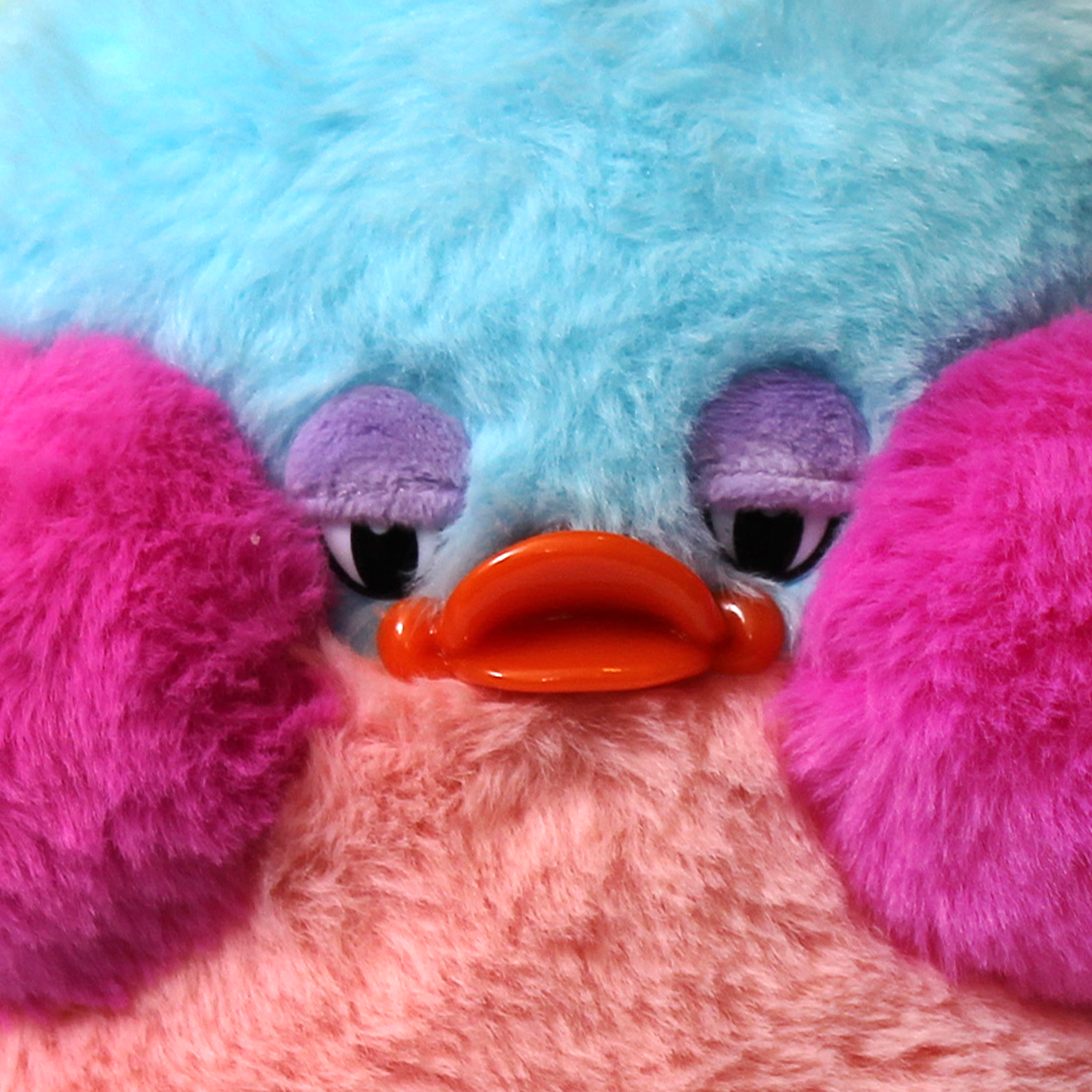 Aquamarine Penguin Snoozle