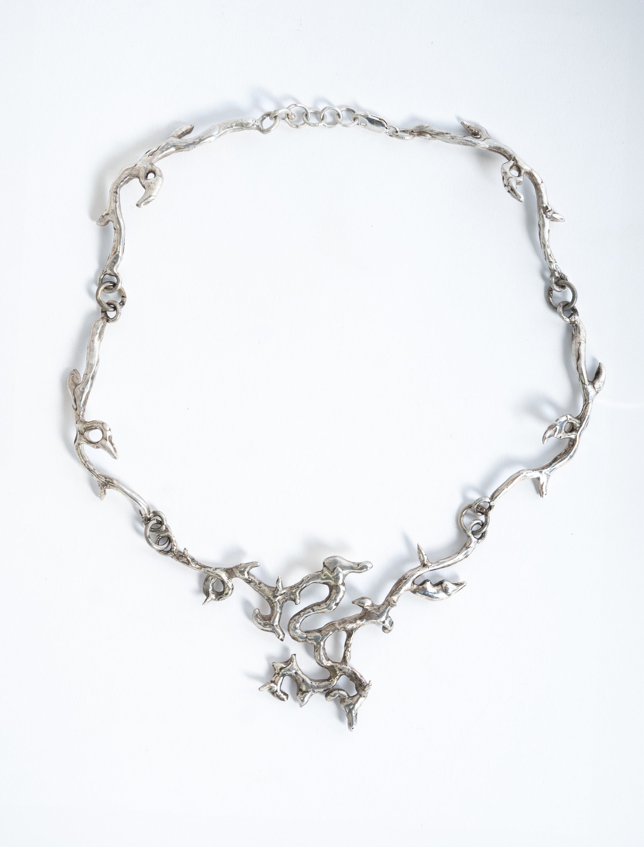 은빛 재: 숨겨진 꽃 