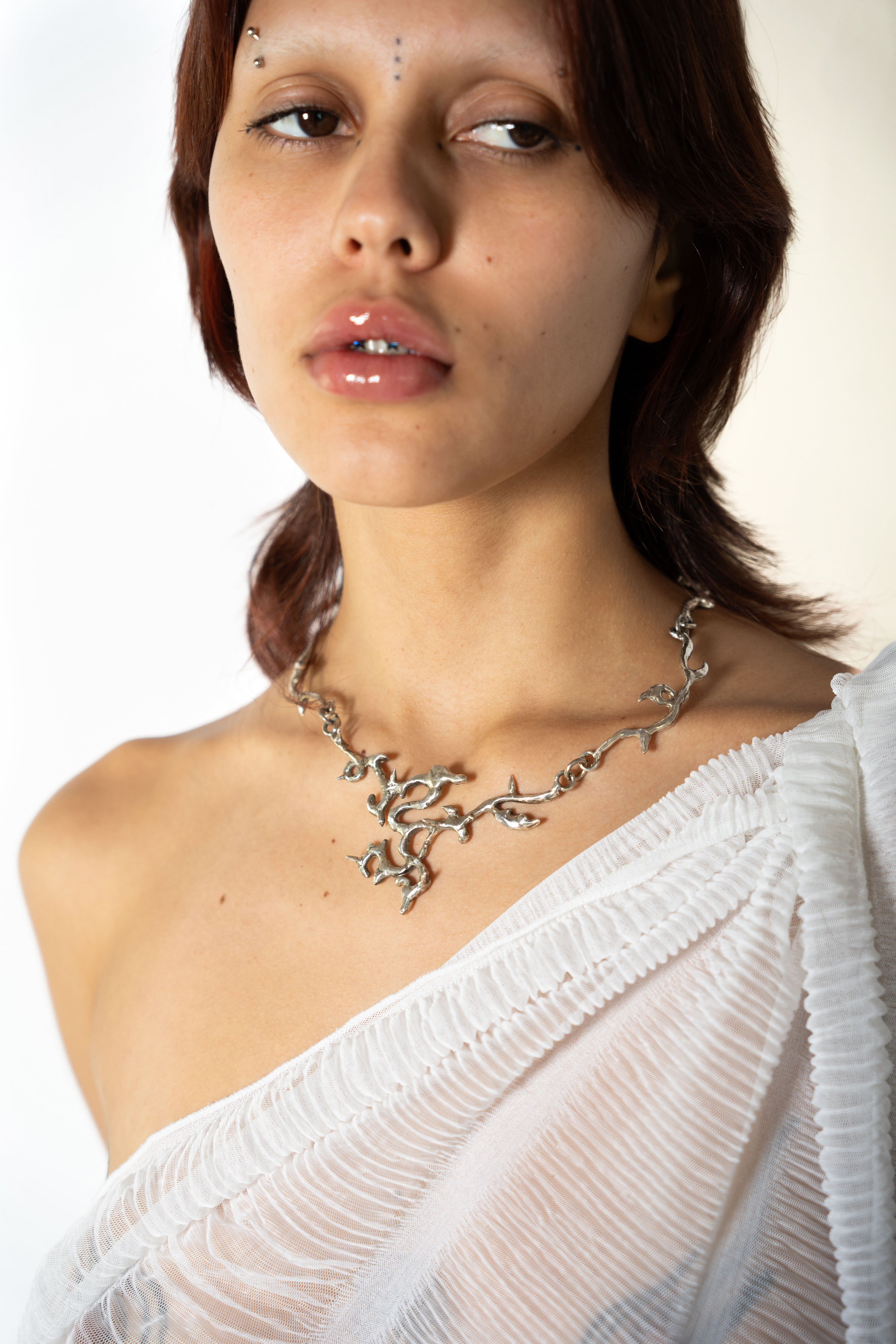 은빛 재: 숨겨진 꽃 