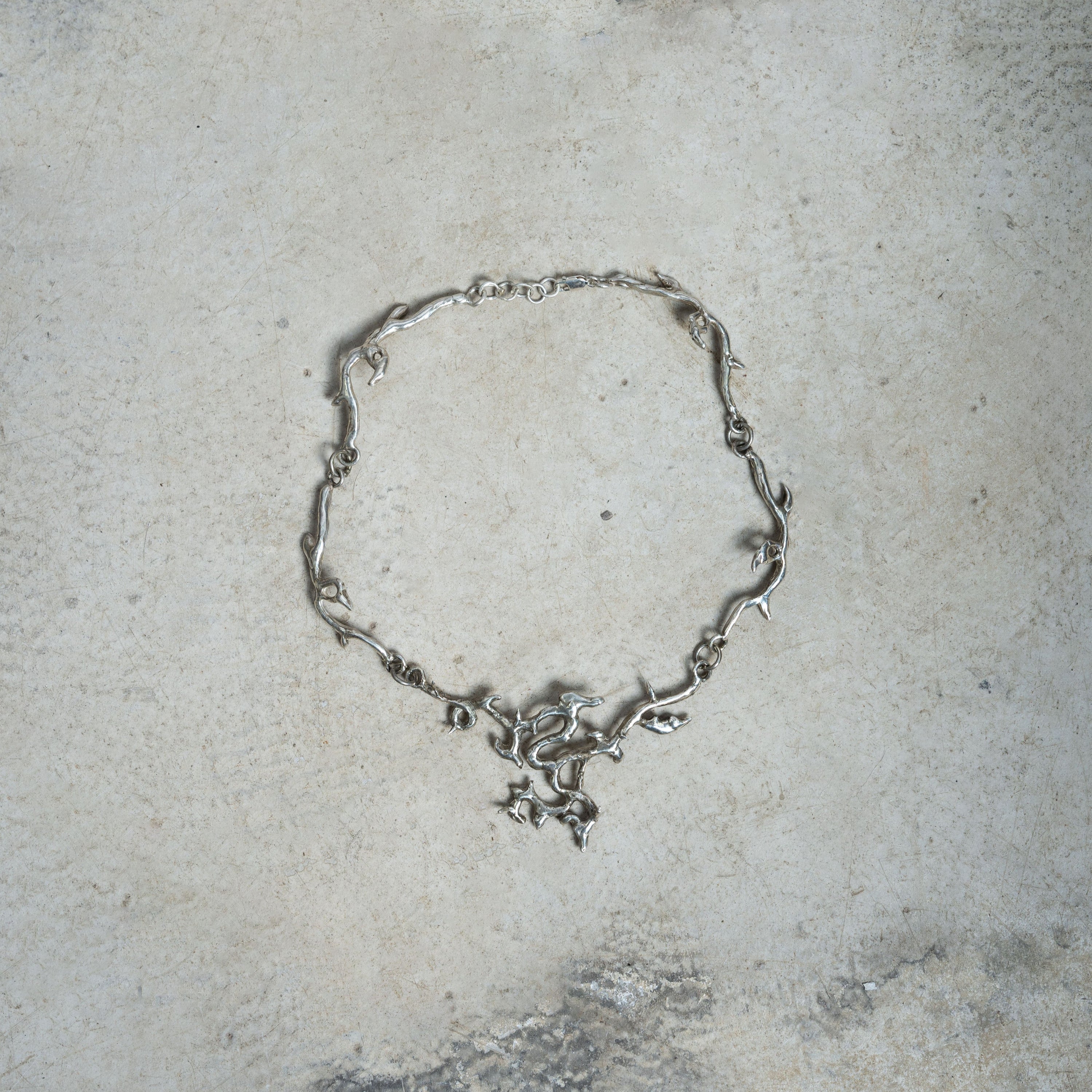 Ashes of Silver: The Hidden Flower