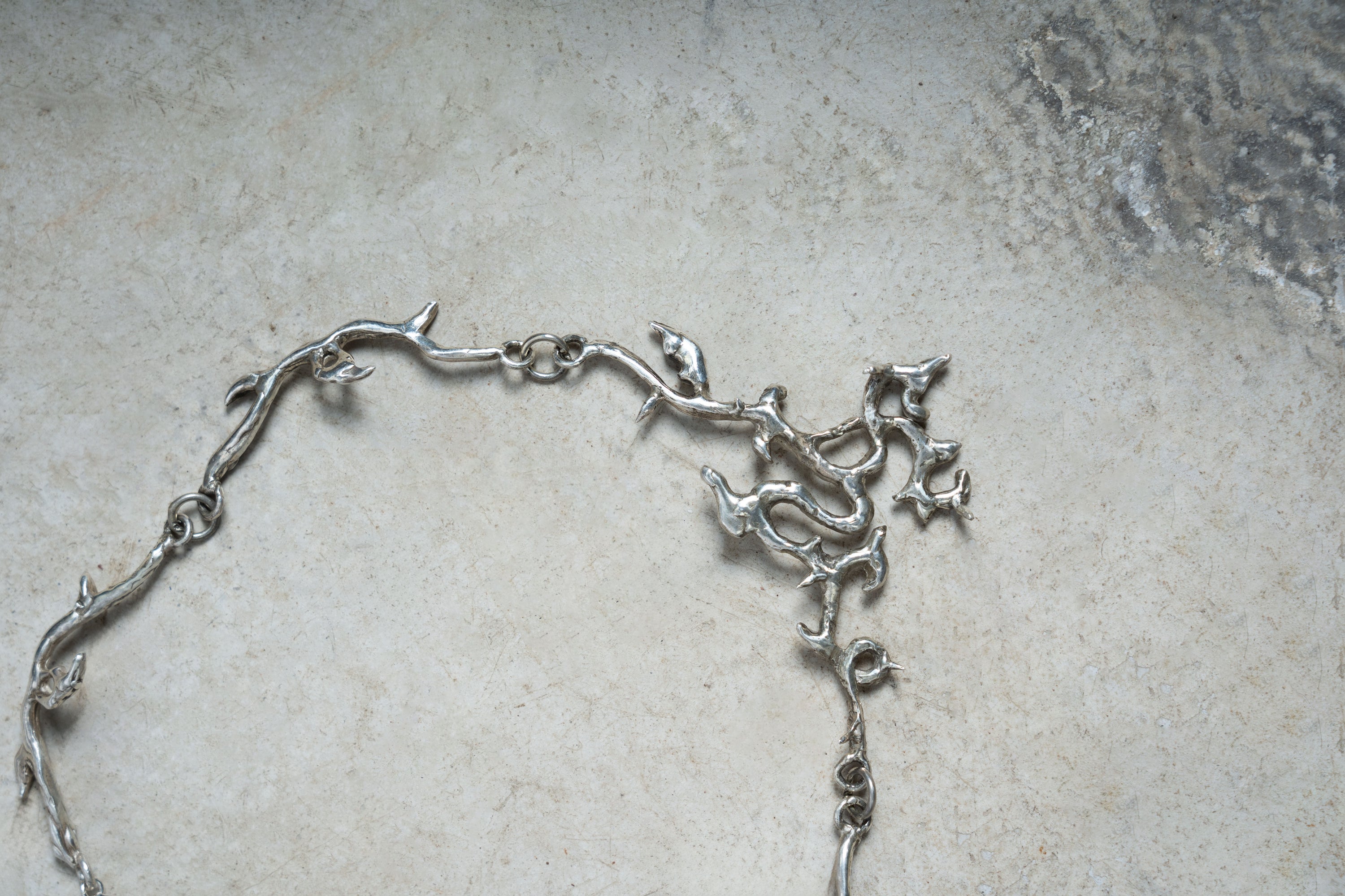 은빛 재: 숨겨진 꽃 