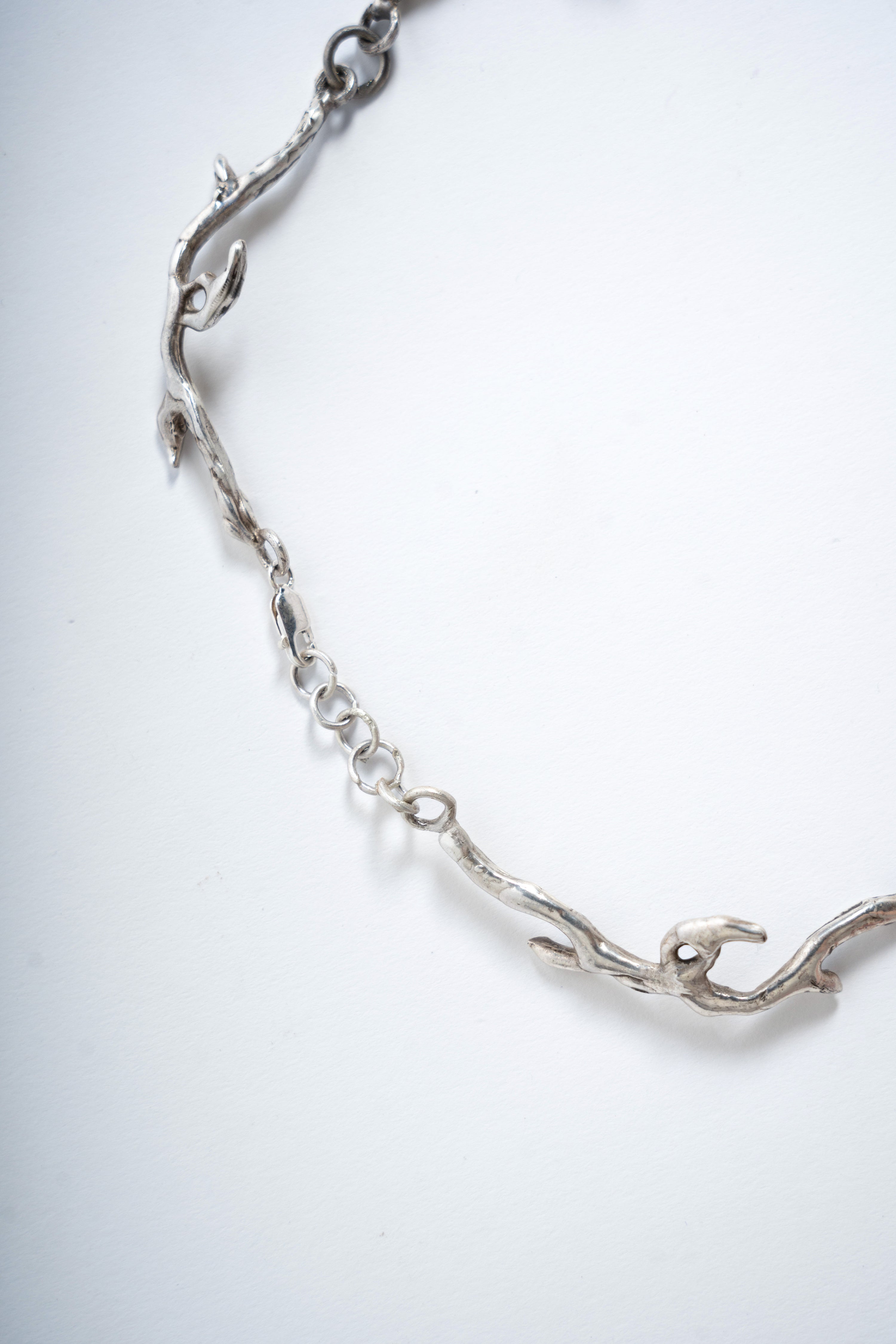 은빛 재: 숨겨진 꽃 