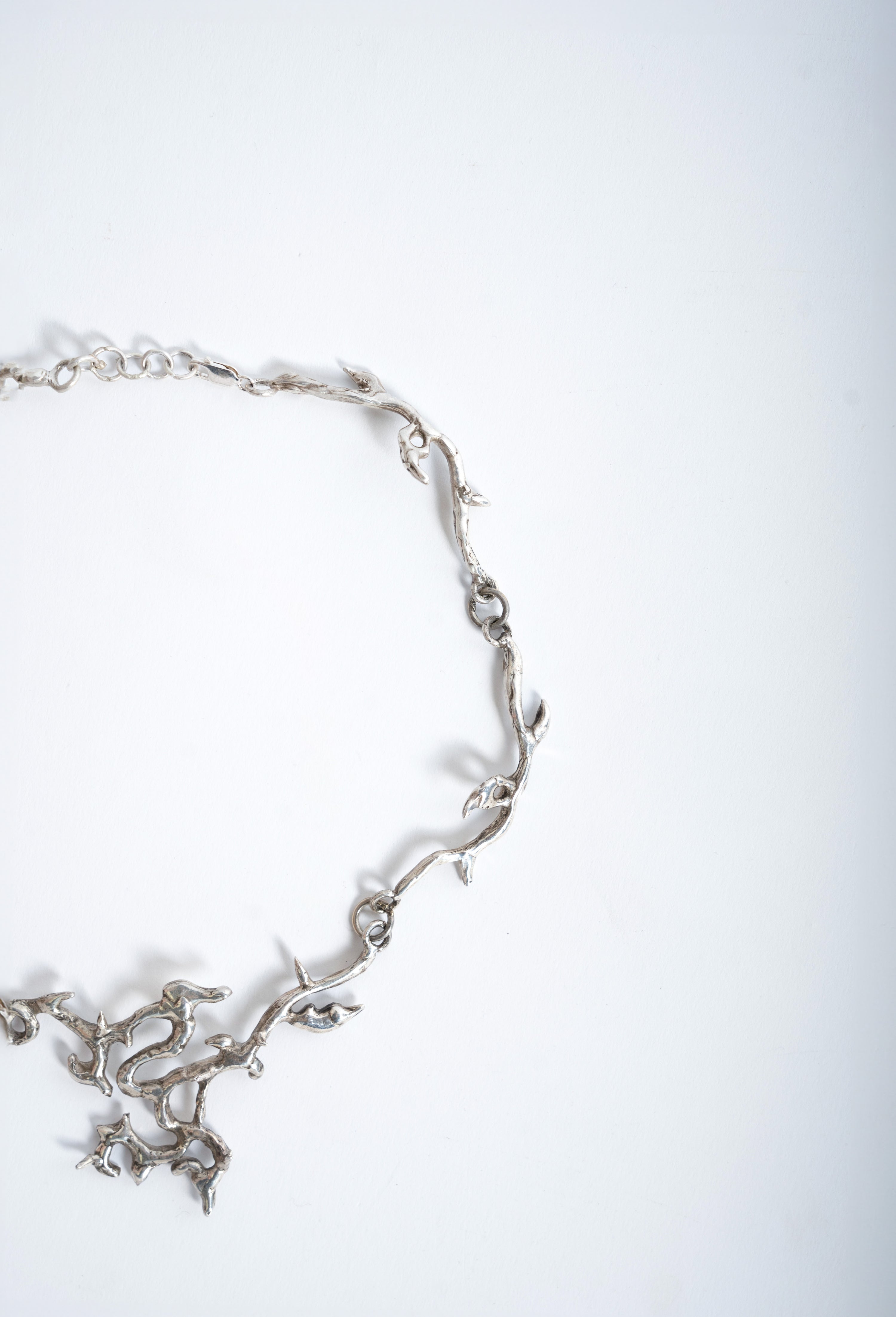 은빛 재: 숨겨진 꽃 