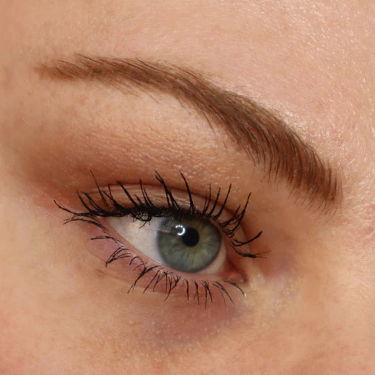 Spectra Lash