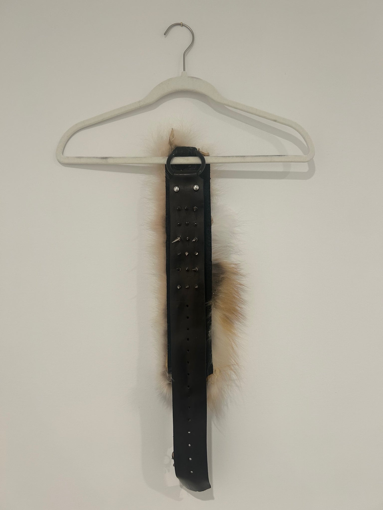 Companion Belt "Spirit"