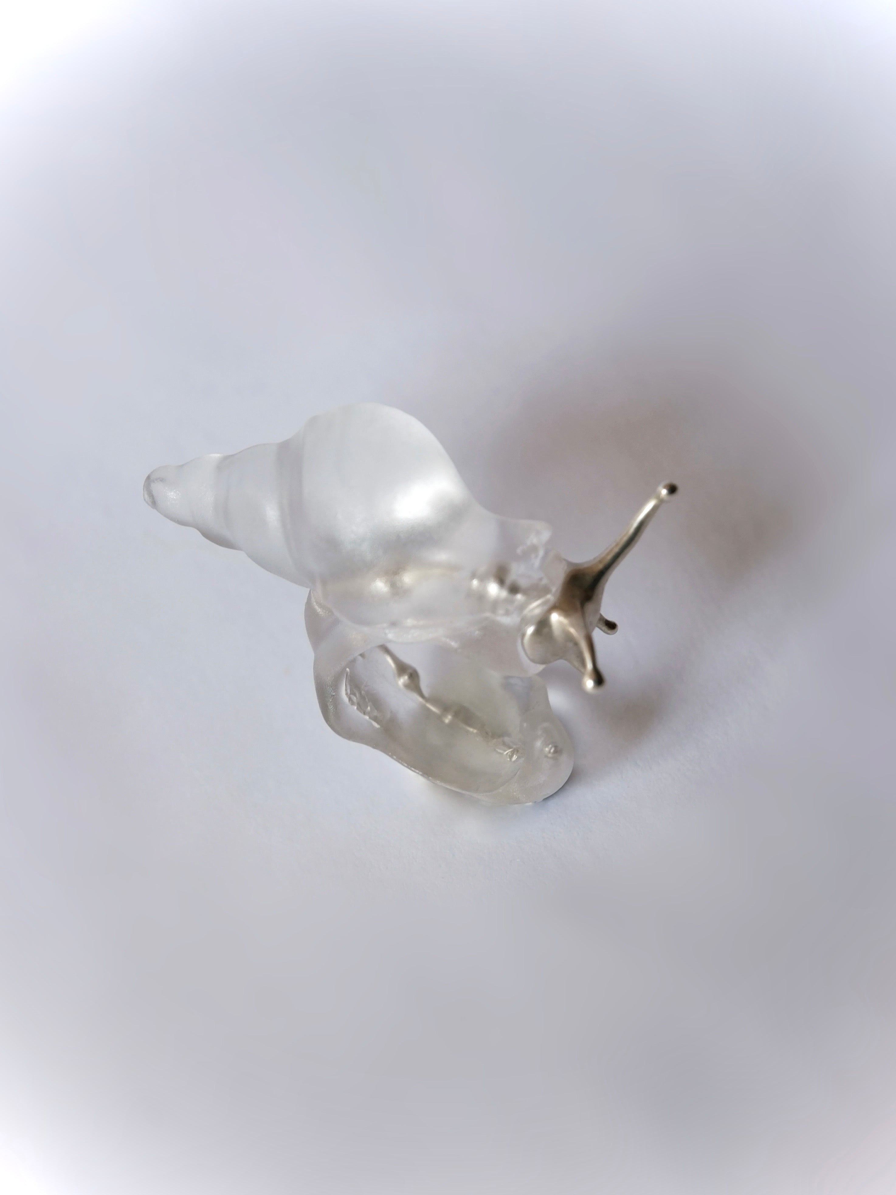 Silver Spine Sea Snail Ring