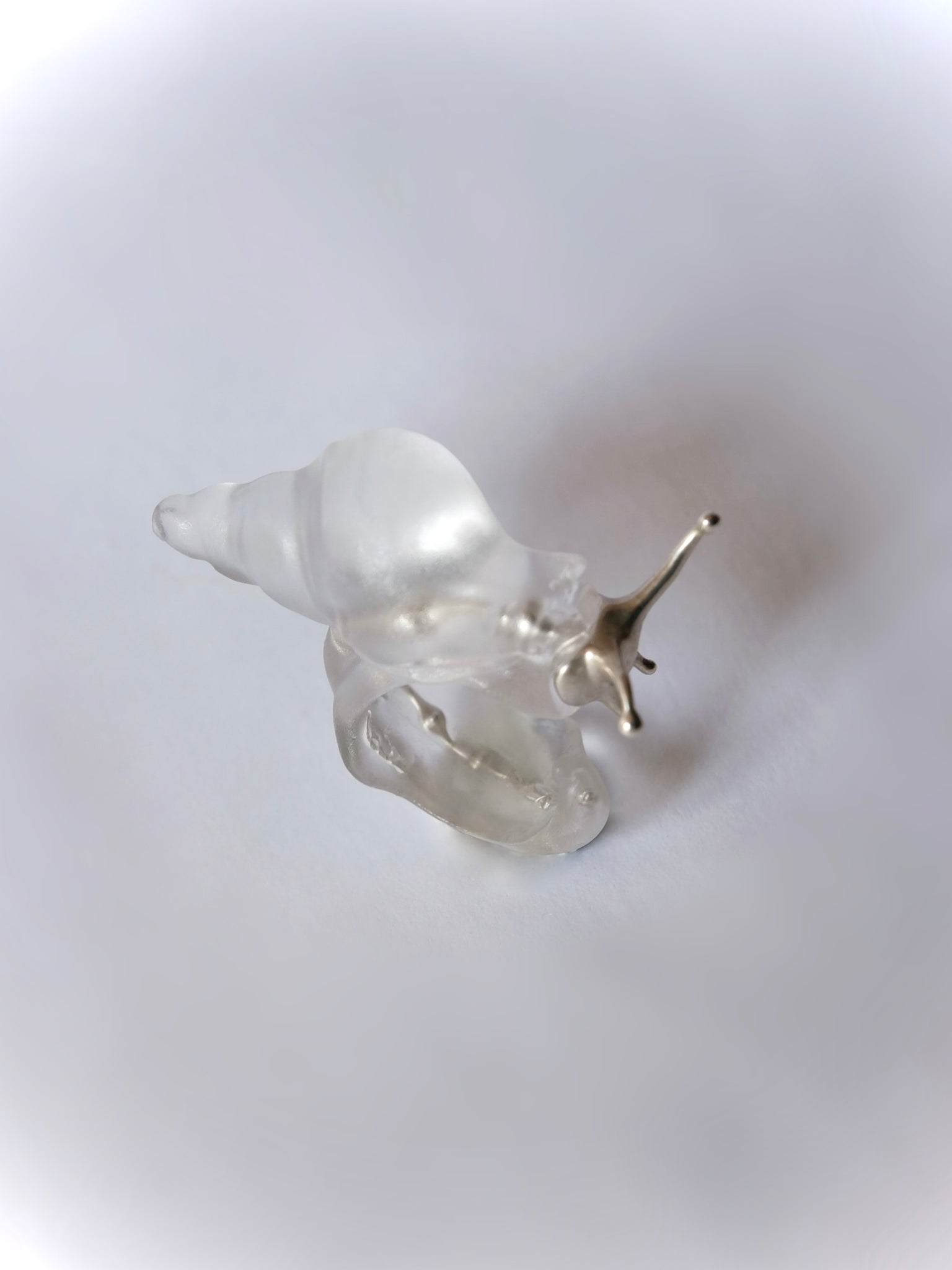 Silver Spine Sea Snail Ring