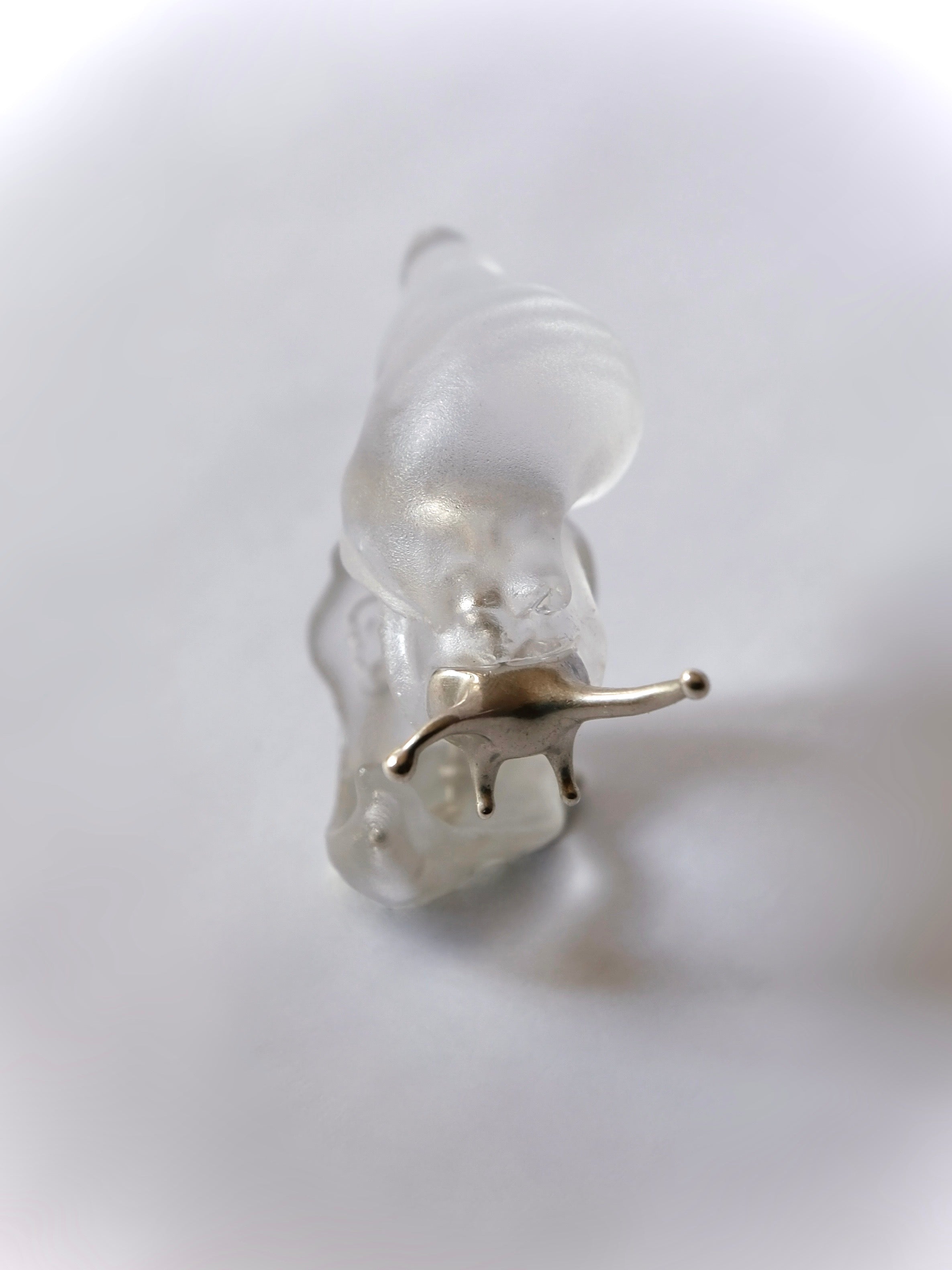 Silver Spine Sea Snail Ring