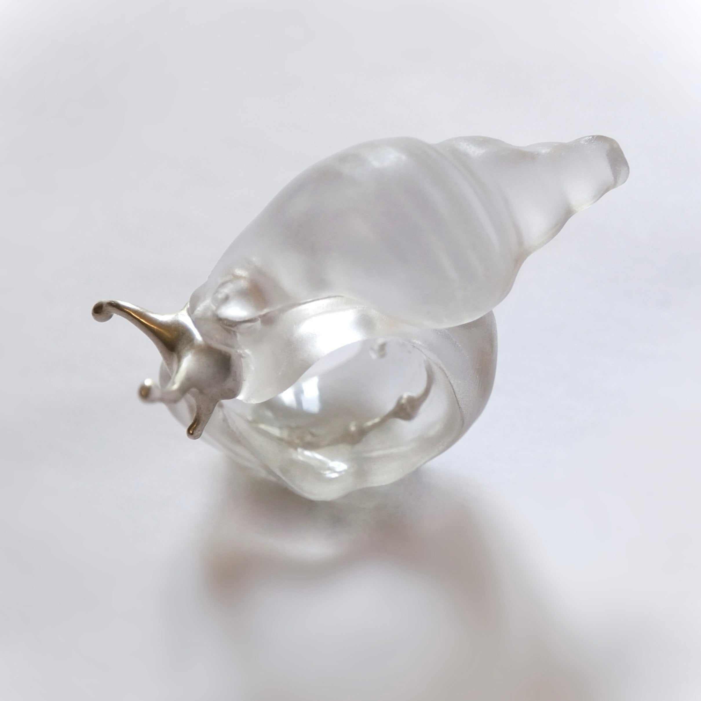 Silver Spine Sea Snail Ring