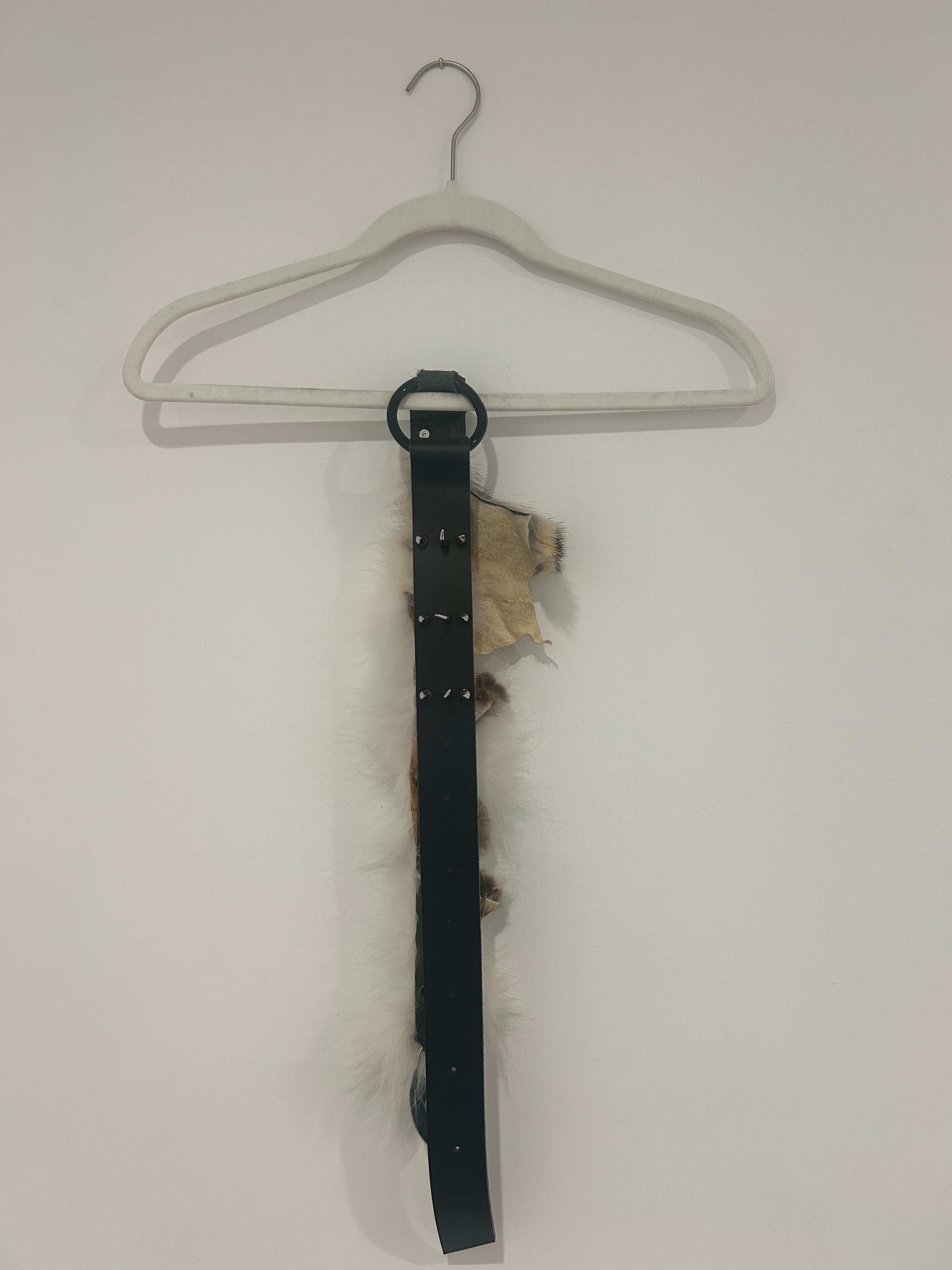 Companion Belt "Mist"