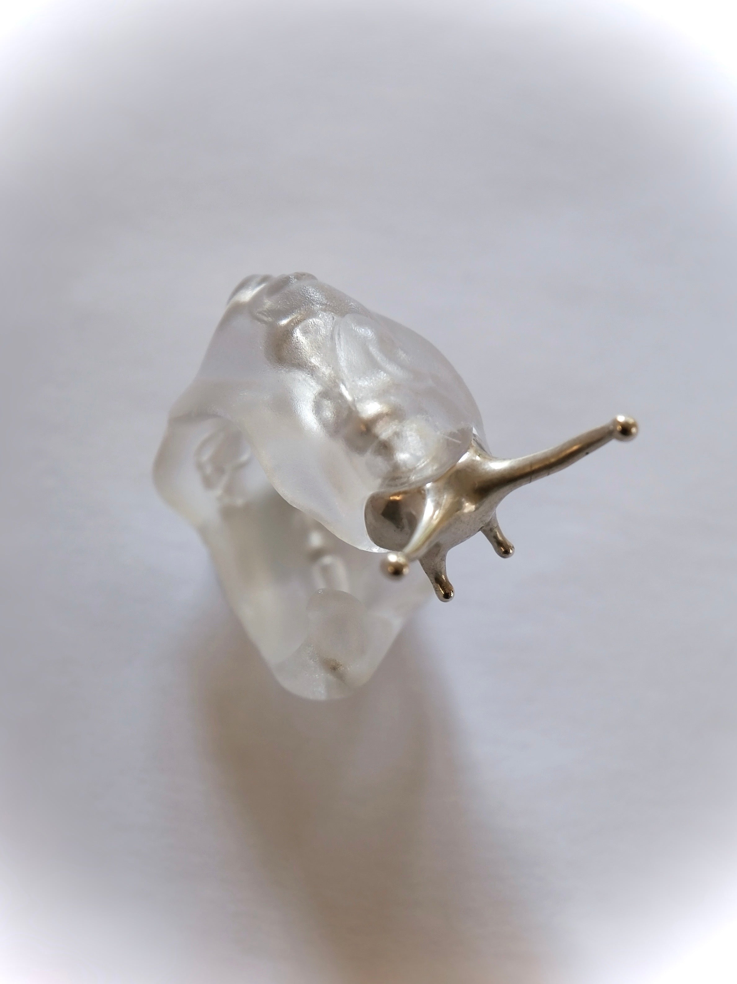 Silver Spine Slug Ring