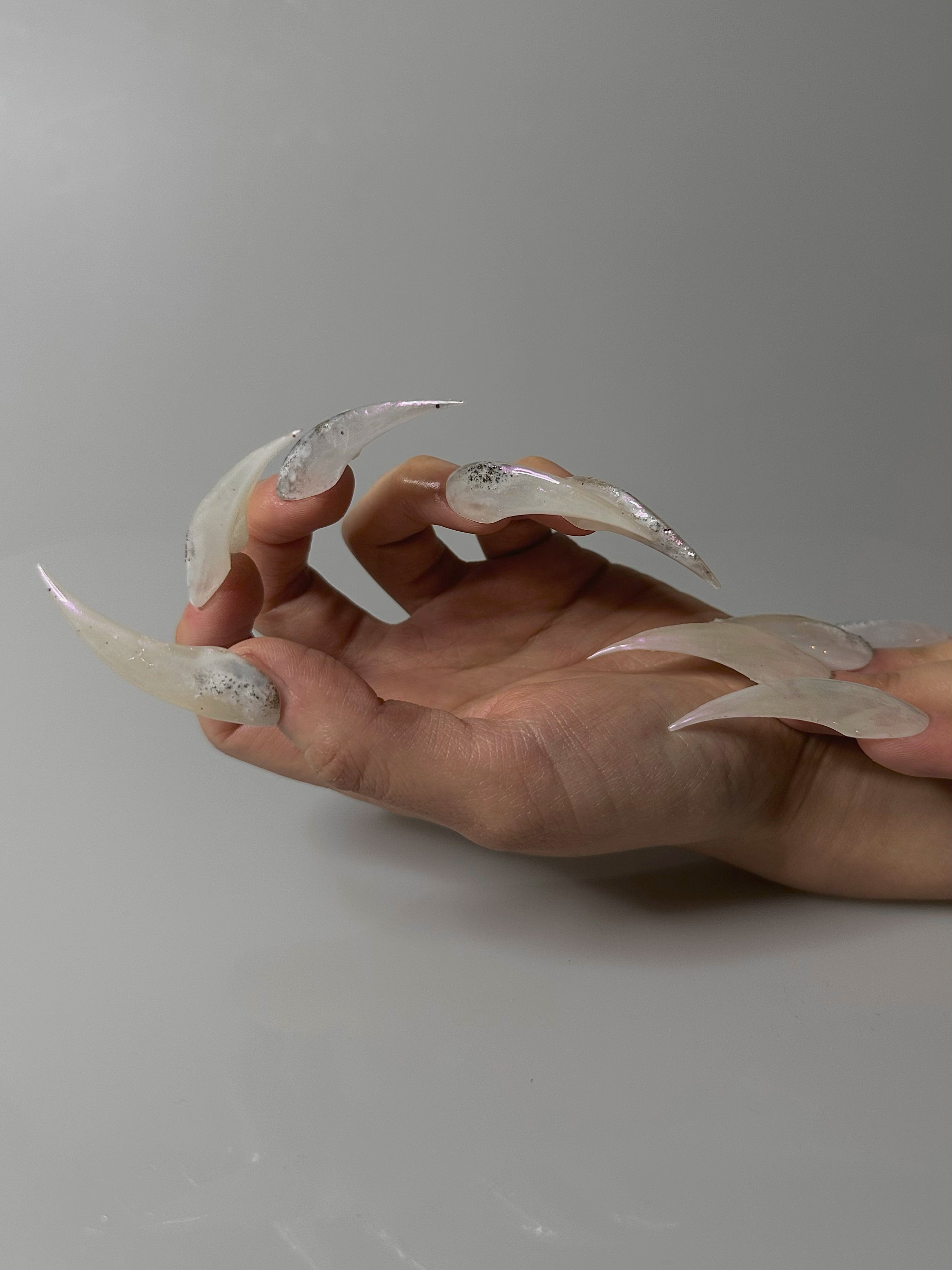 Dragon Claw Nails in Ivory Fog