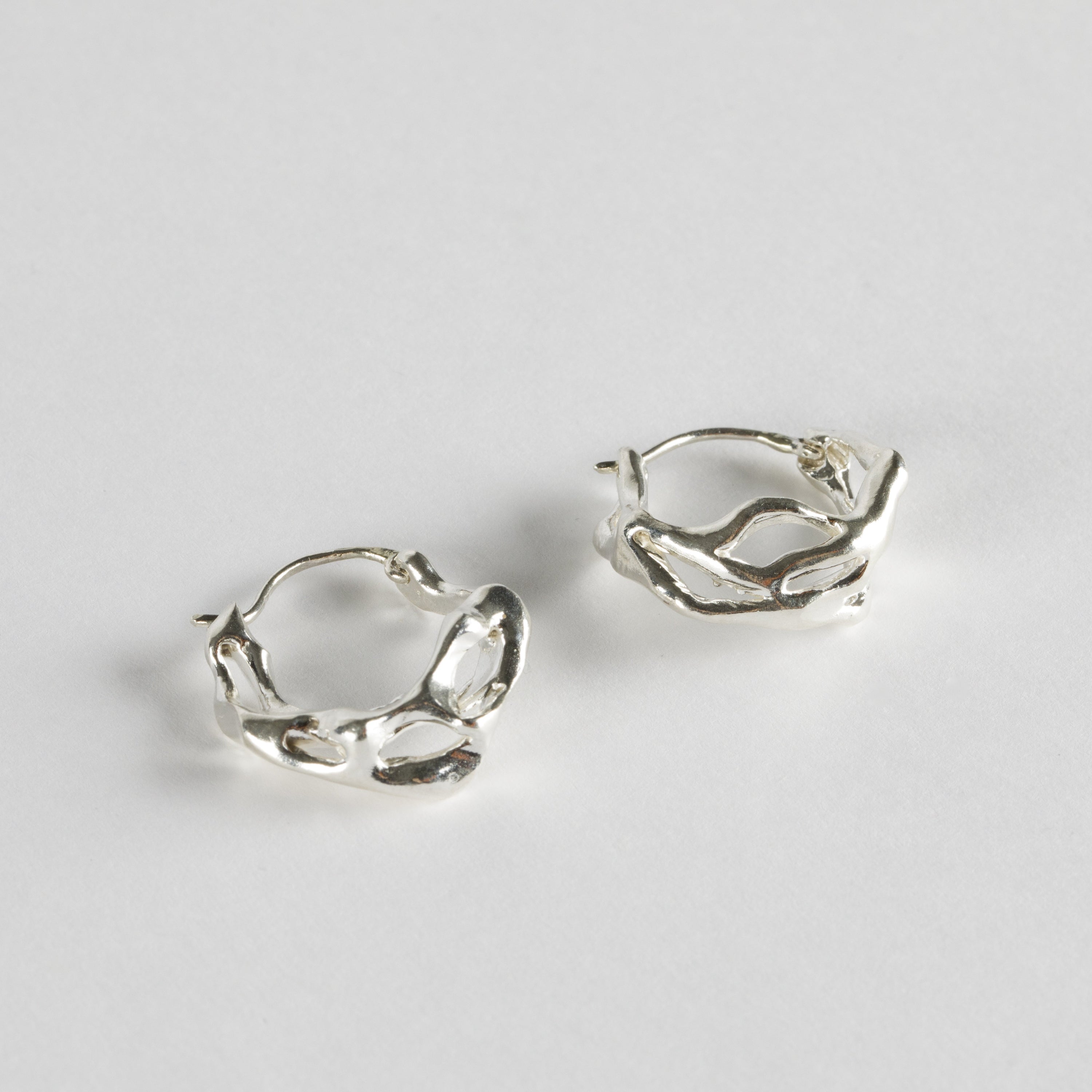 Roots Earrings With A Clasp Closure