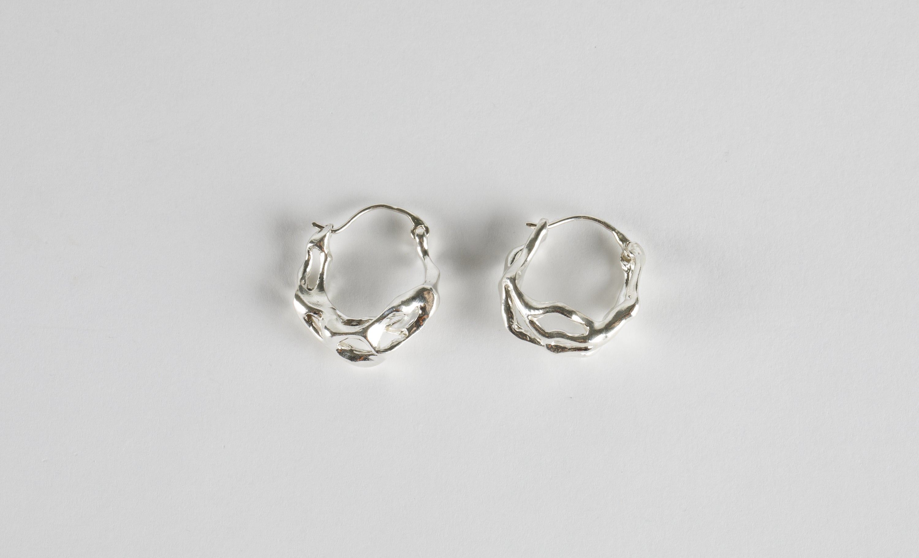 Roots Earrings With A Clasp Closure