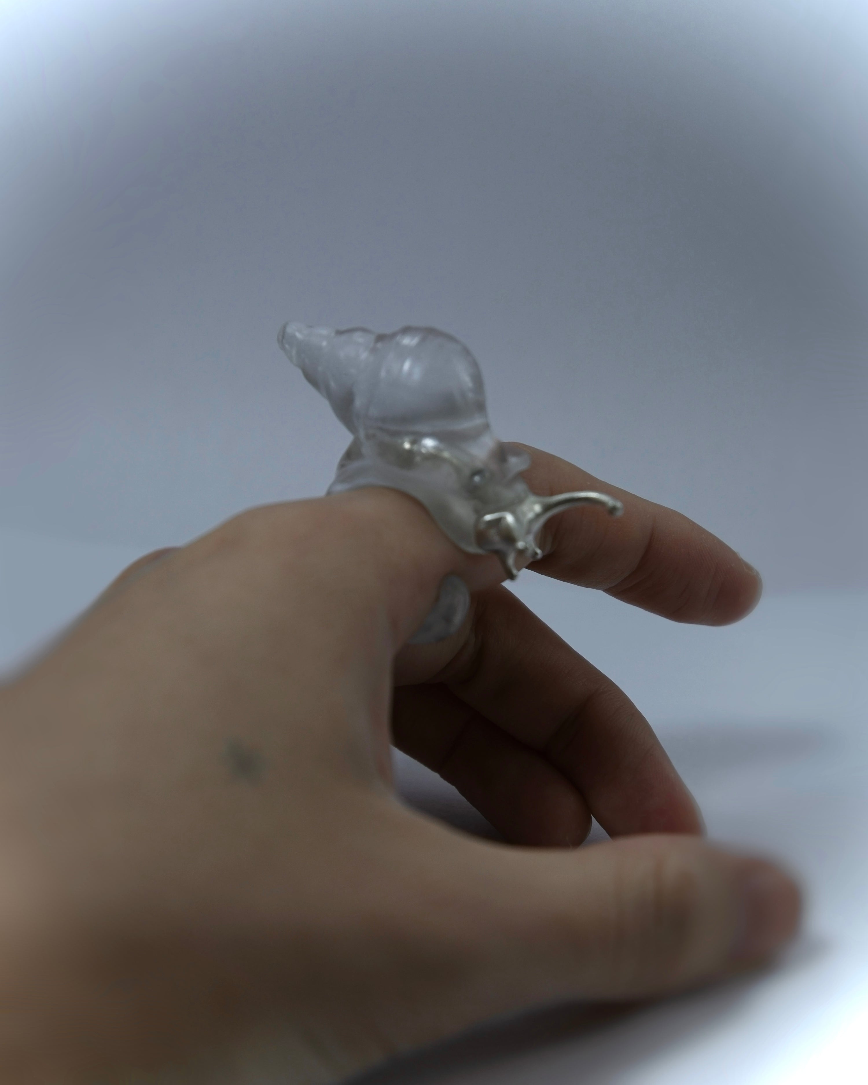 Silver Spine Sea Snail Ring